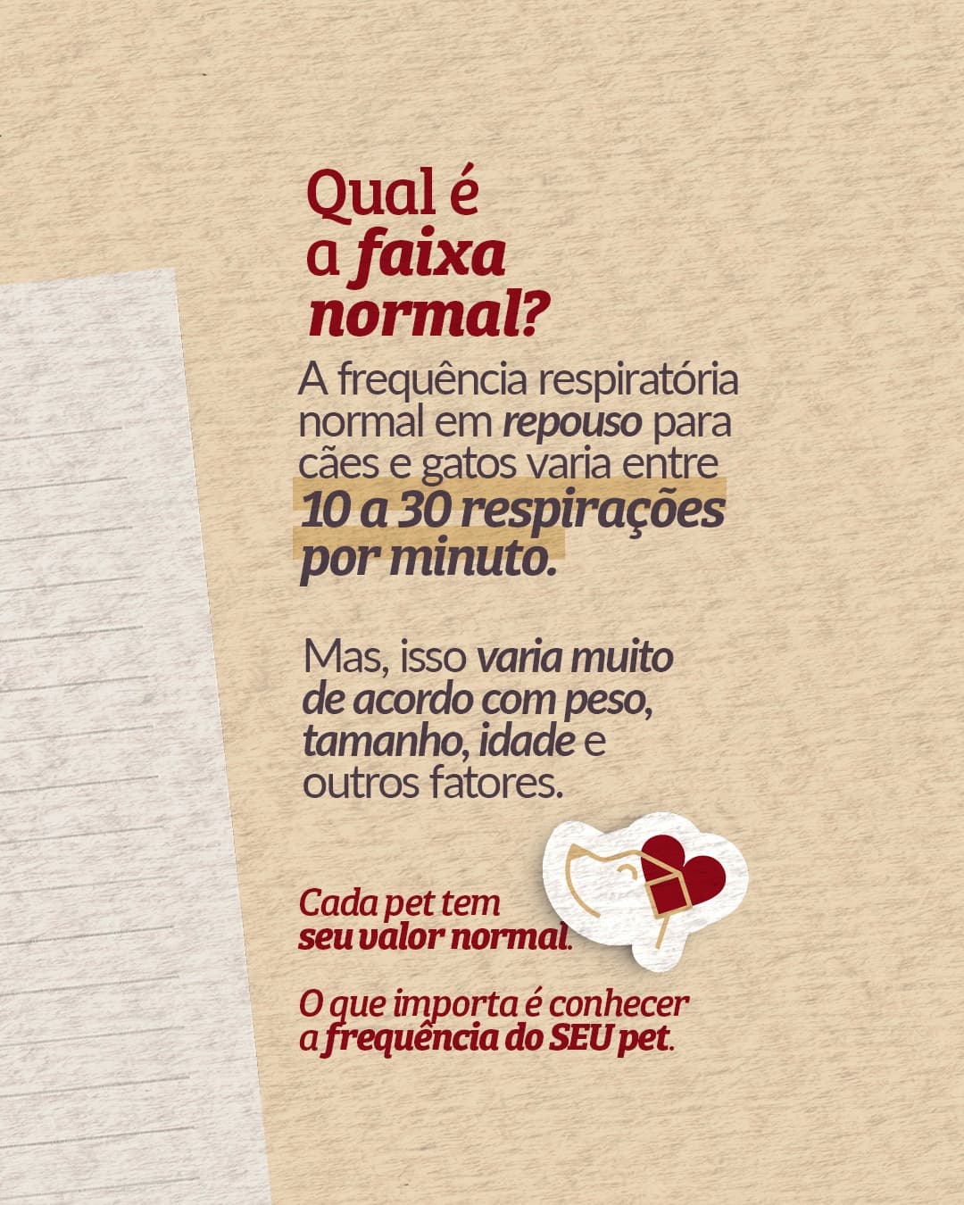 Terceira página do carrossel da Pet Cardio Brasília sobre a frequência respiratória dos pets