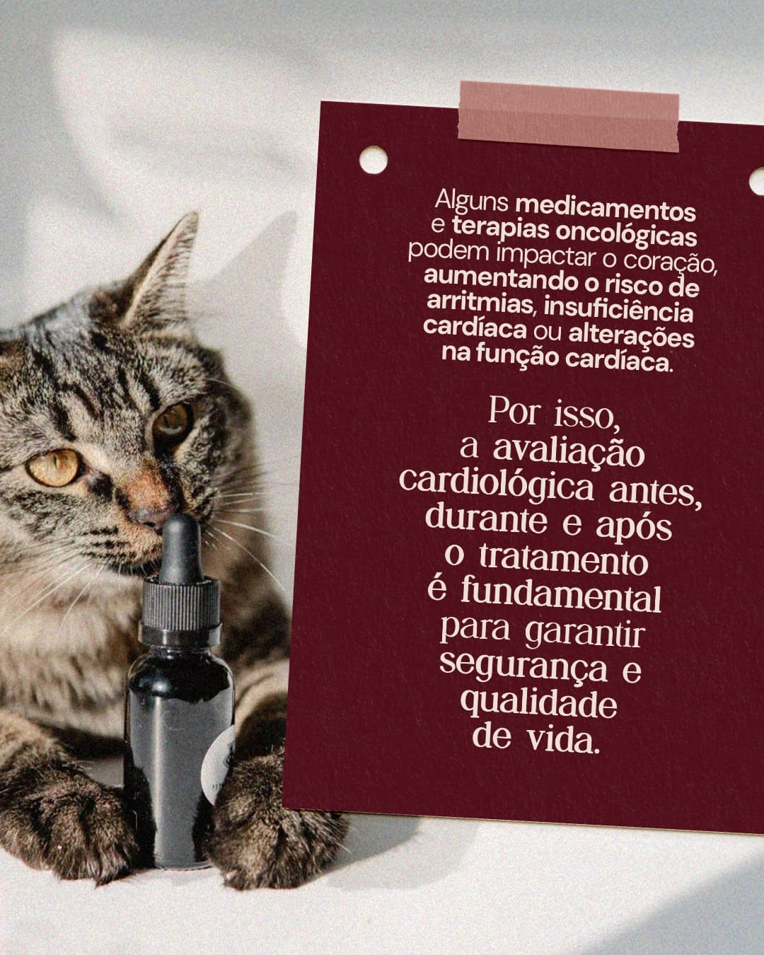 Segunda página do carrossel da Dra. Thais Marcoto sobre avaliação cardiológica do paciente oncológico