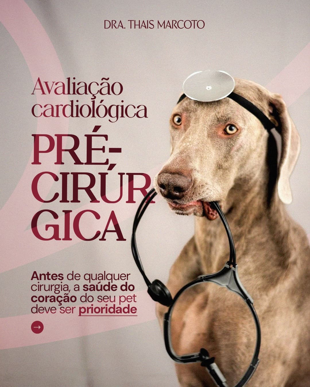 Capa de carrossel da Dra. Thais Marcoto sobre avaliação cardiológica pré-cirúrgica