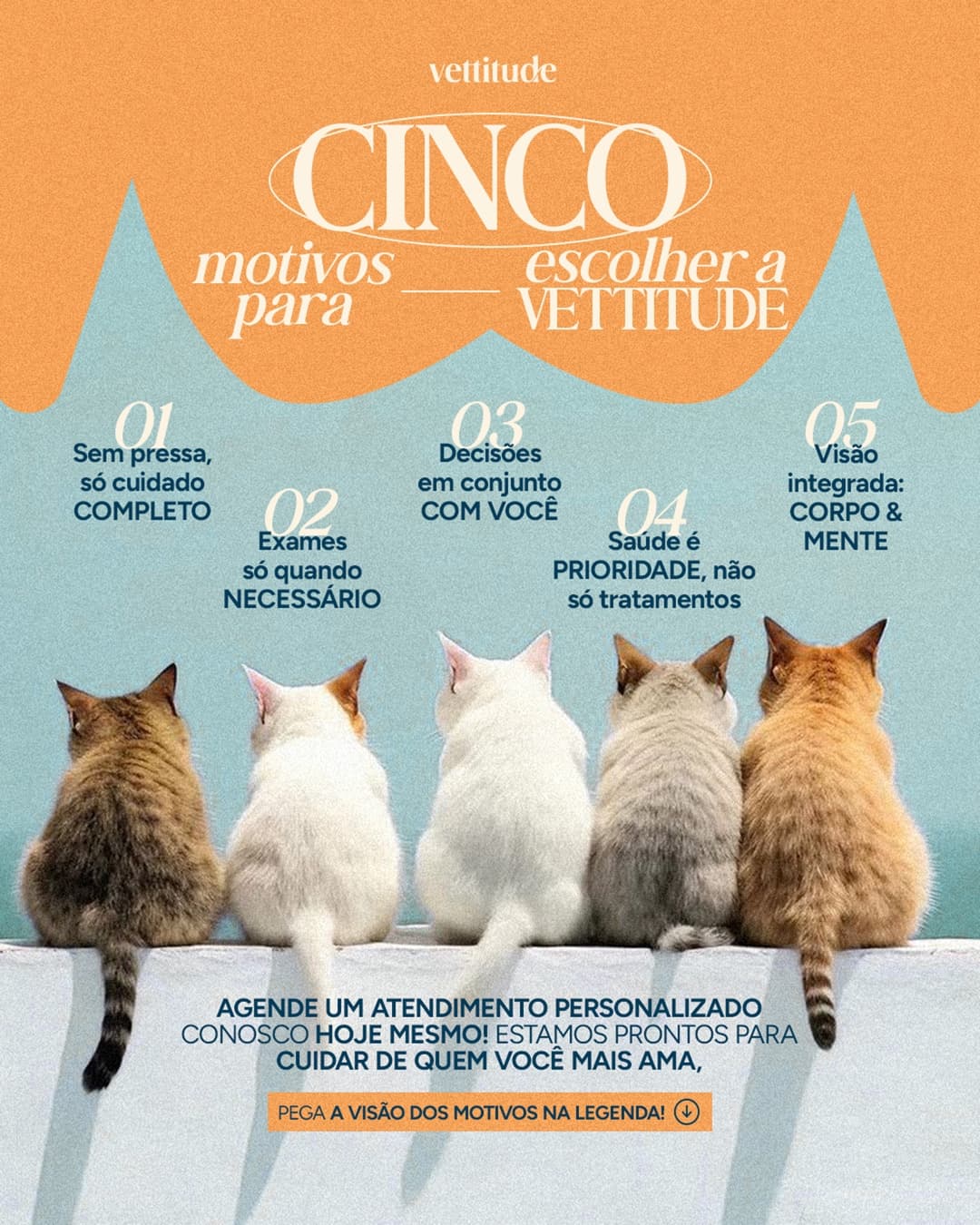Design de post da Vettitude com cinco motivos para escolher a marca