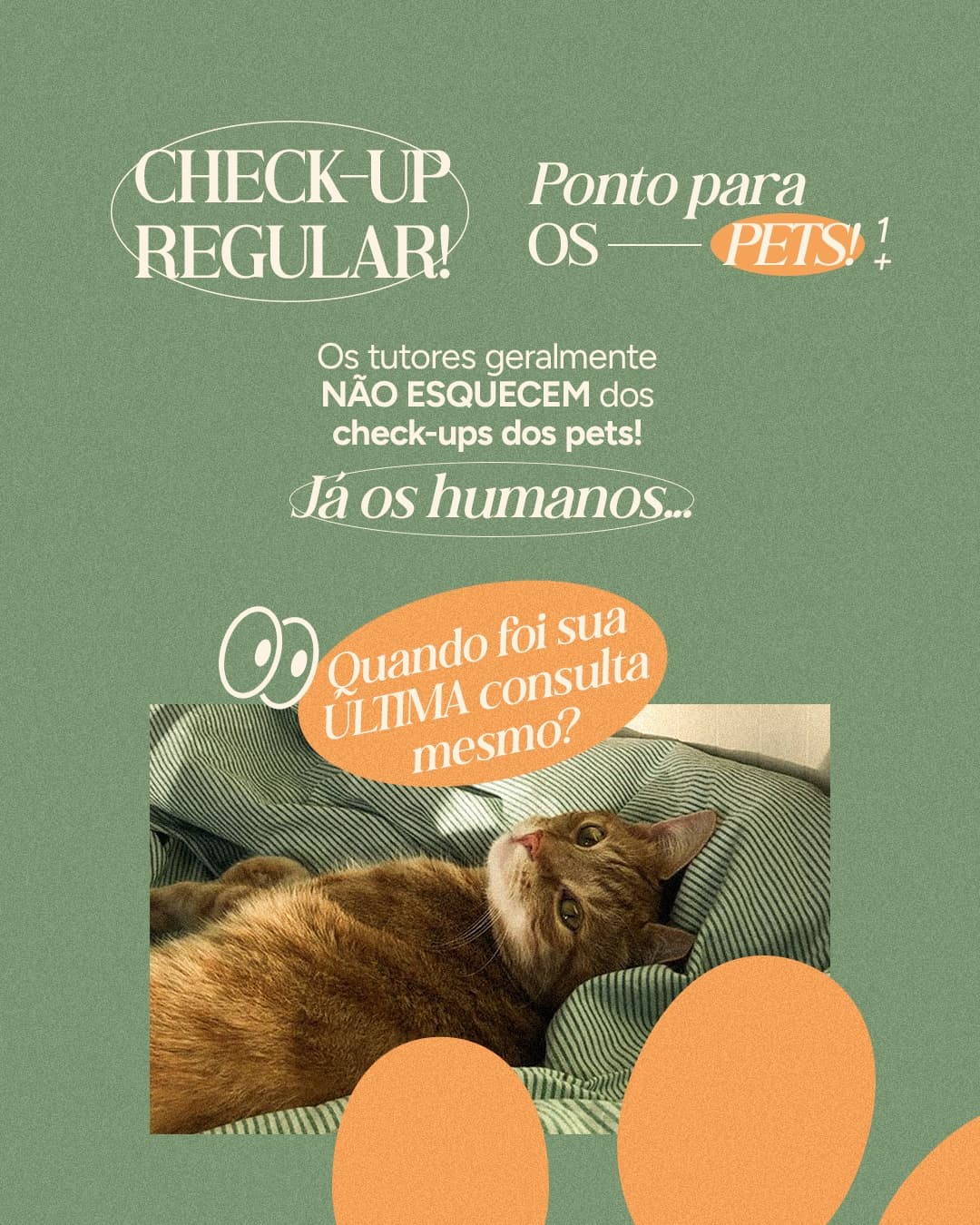 Segunda página do carrossel da Vettitude sobre check-ups de pets e humanos