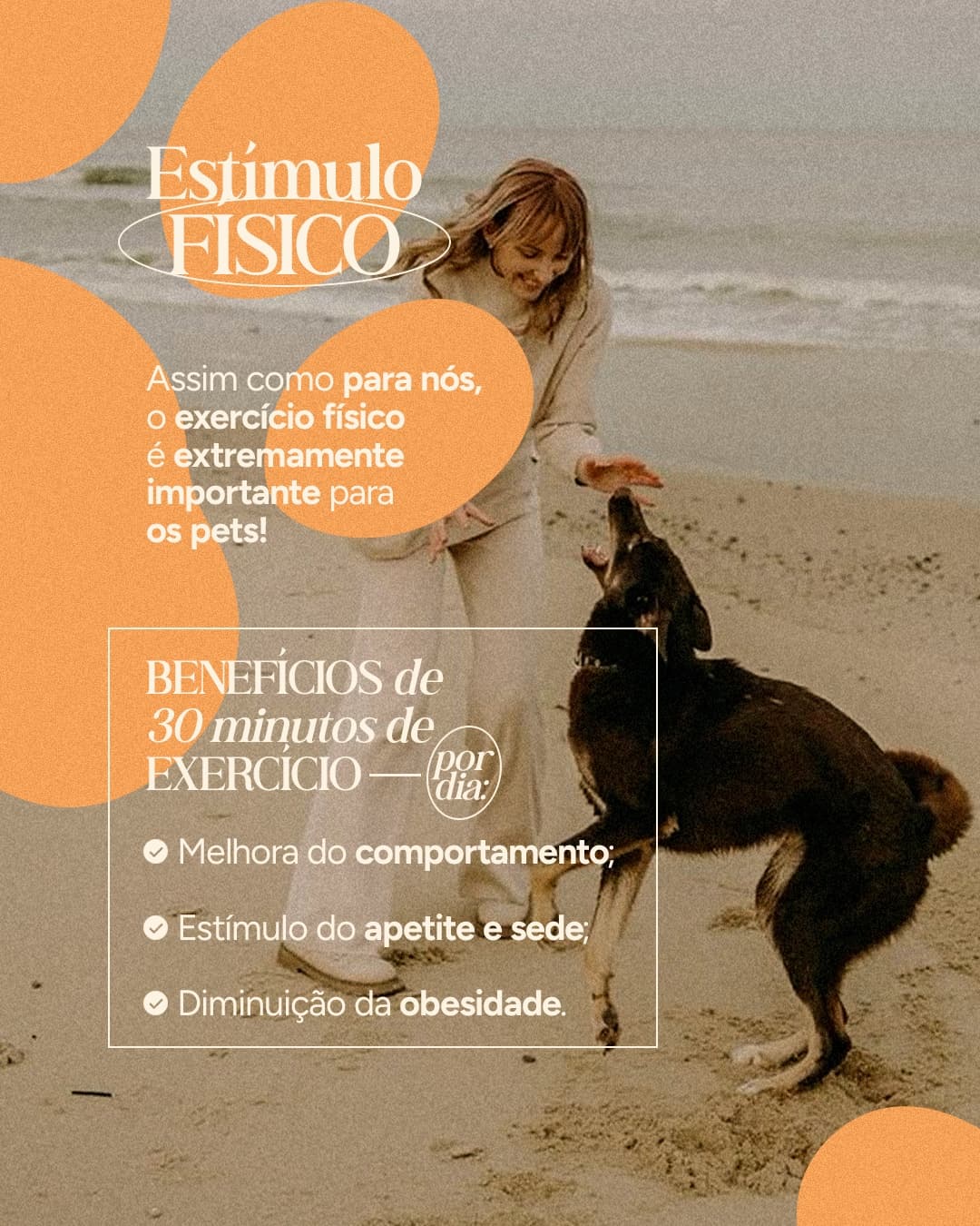 Terceira página do carrossel da Vettitude sobre estímulo físico para pets