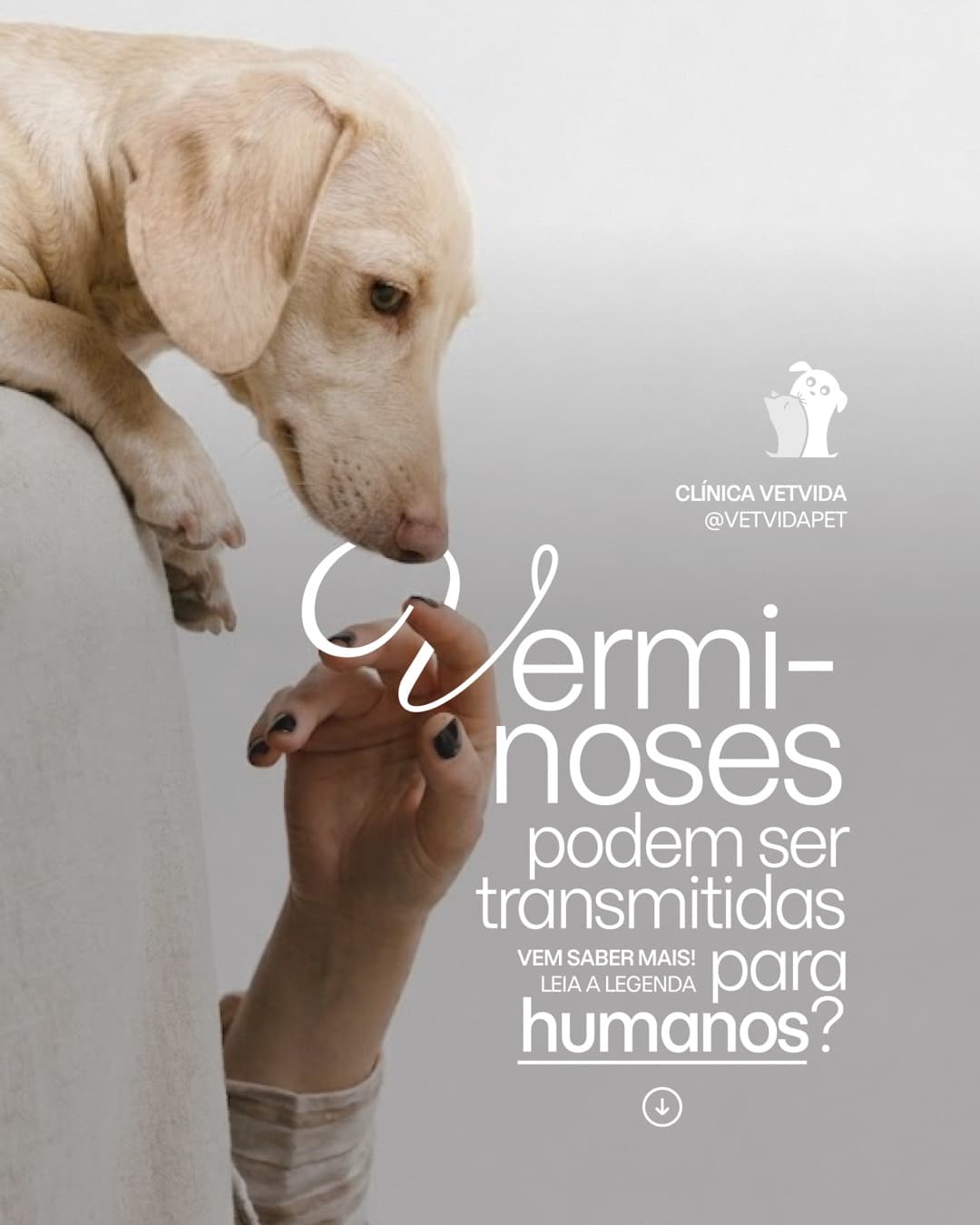 Design de post da Clínica Vetvida sobre verminoses que podem ser transmitidas a humanos