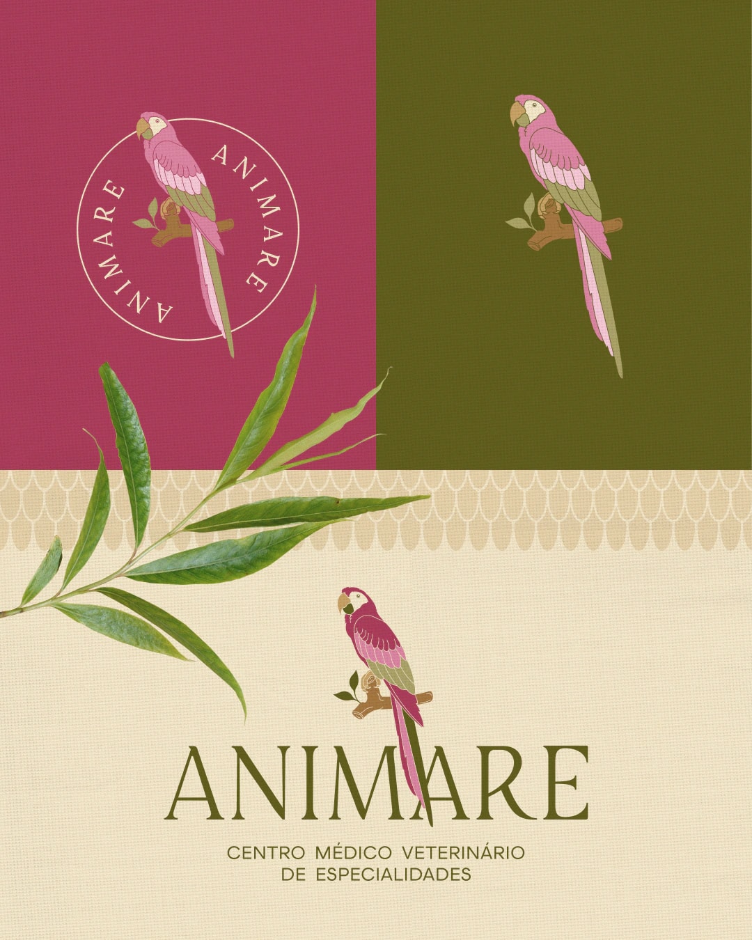 Sistema de assinaturas visuais da Animare em rosa, verde e creme do projeto ANIMARE