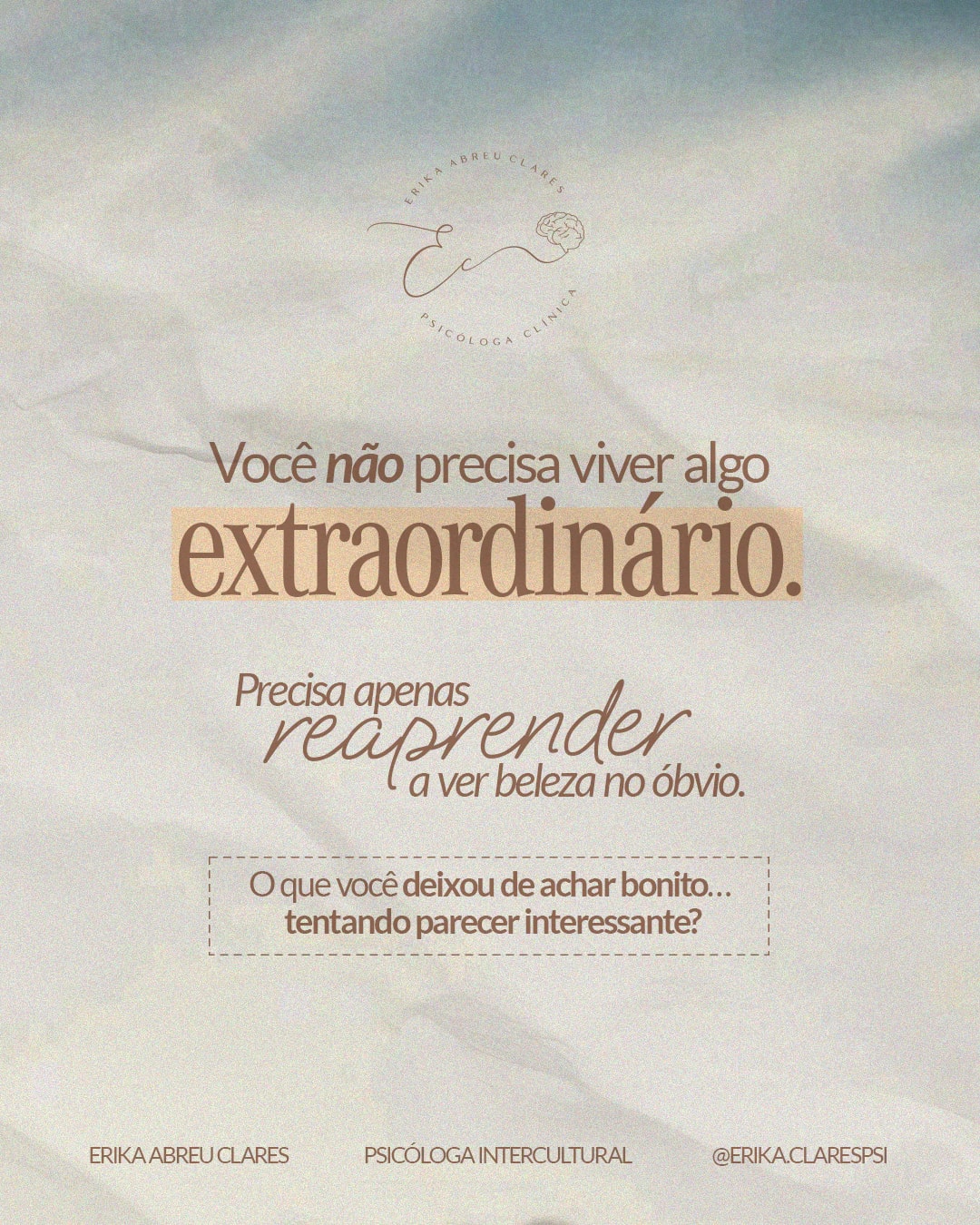 Encerramento sobre reaprender a enxergar beleza do projeto ERIKA ABREU CLARES