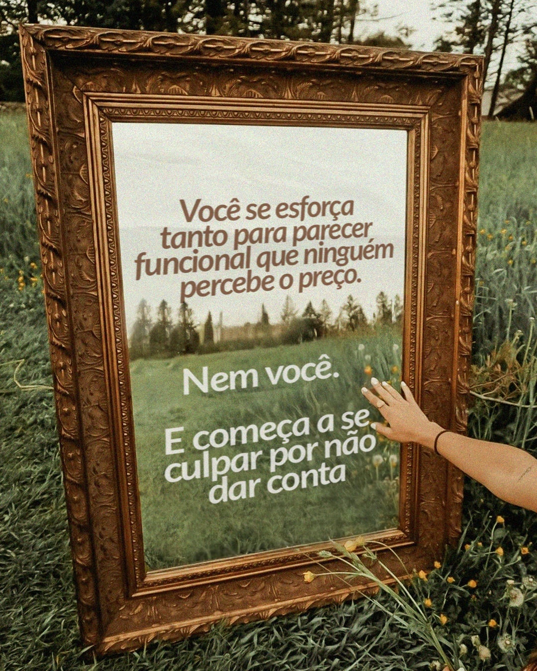Esforço para parecer funcional sem perceber o próprio limite do projeto ERIKA ABREU CLARES
