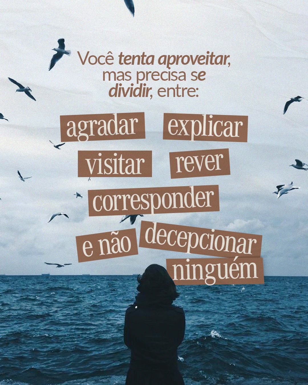 Tensão entre aproveitar, explicar, visitar, rever e corresponder do projeto ERIKA ABREU CLARES