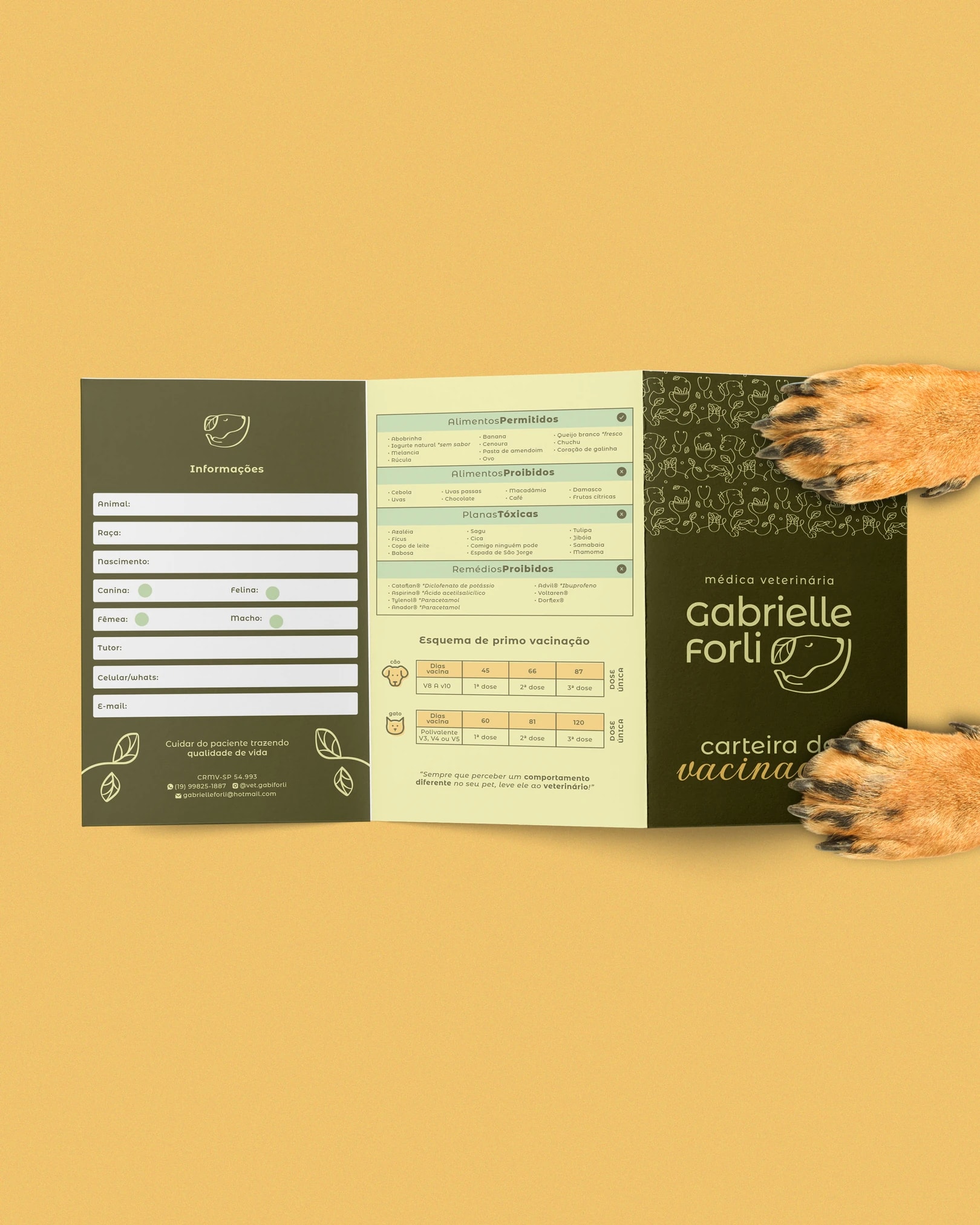 Carteira de vacinação personalizada com informações de saúde animal do projeto GABRIELLE FORLI