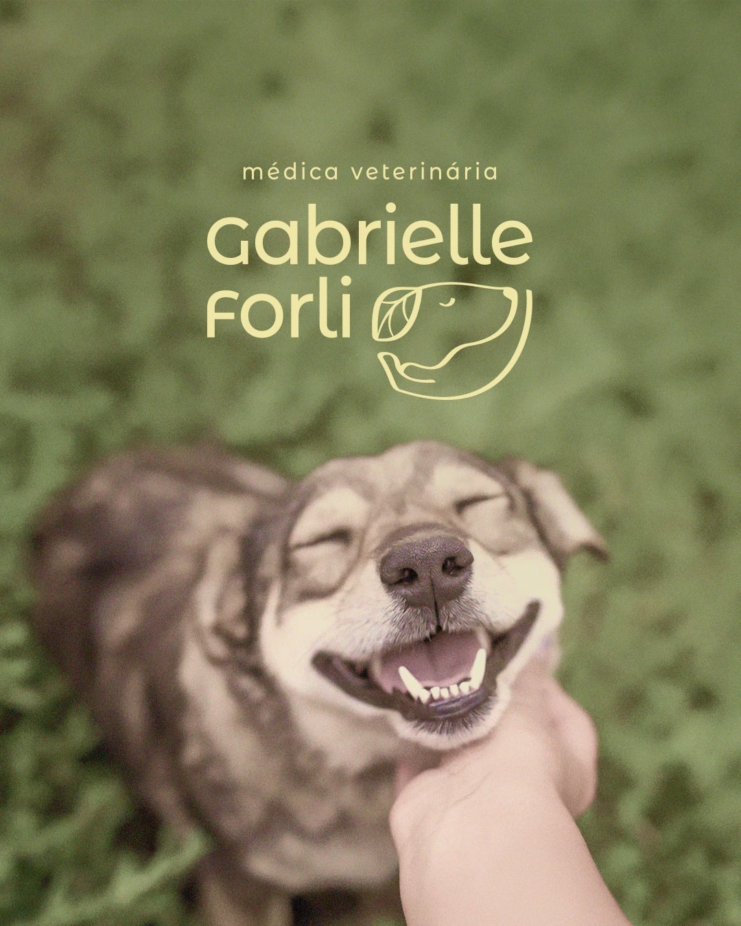 Cão sorrindo ao ar livre com a assinatura principal de Gabrielle Forli do projeto GABRIELLE FORLI