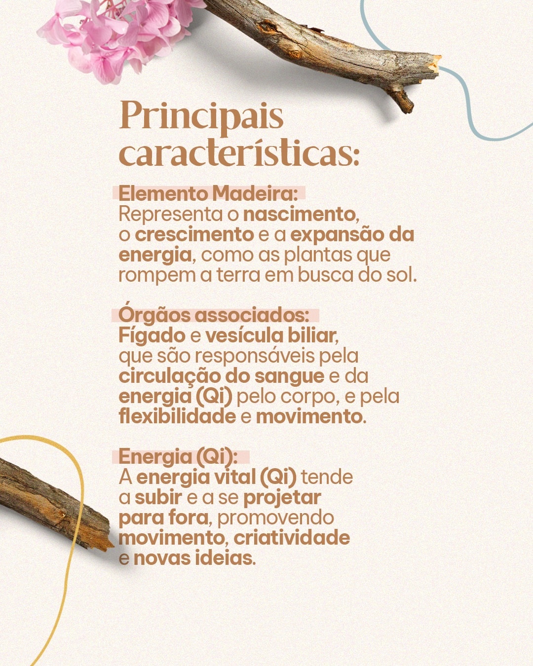 Características da primavera na Medicina Tradicional Chinesa do projeto MAJIA AKIBA