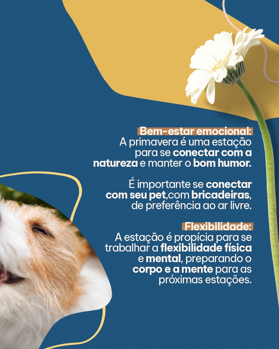 Cuidados com movimento e flexibilidade na primavera do projeto MAJIA AKIBA