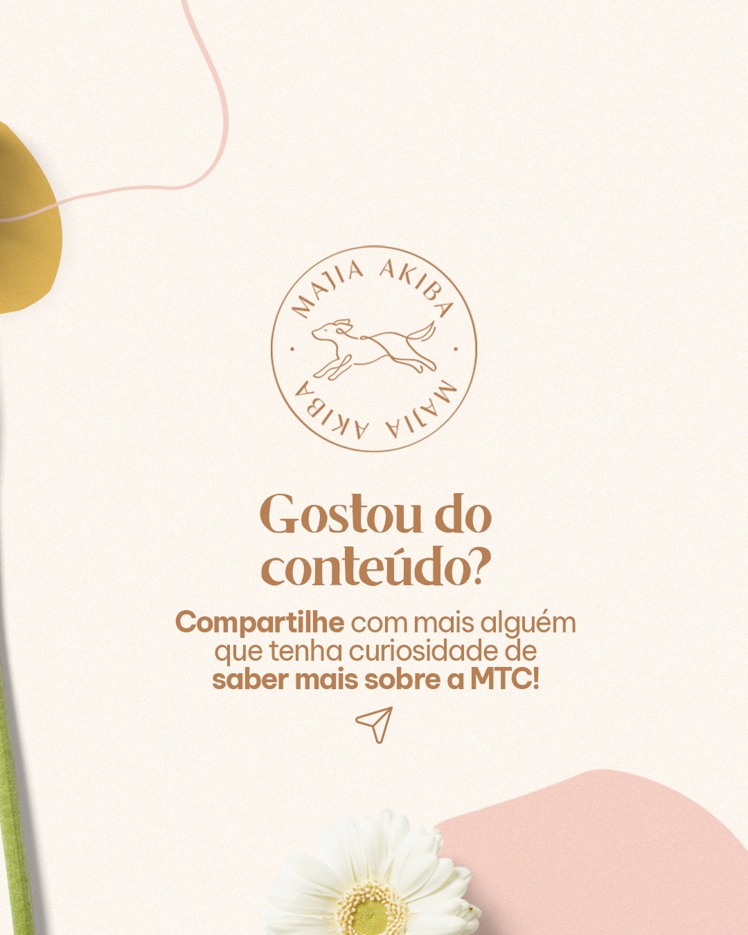 Encerramento sobre a primavera e a Medicina Tradicional Chinesa do projeto MAJIA AKIBA