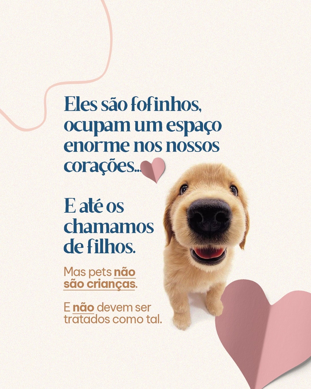 Reflexão sobre respeitar as necessidades dos pets do projeto MAJIA AKIBA