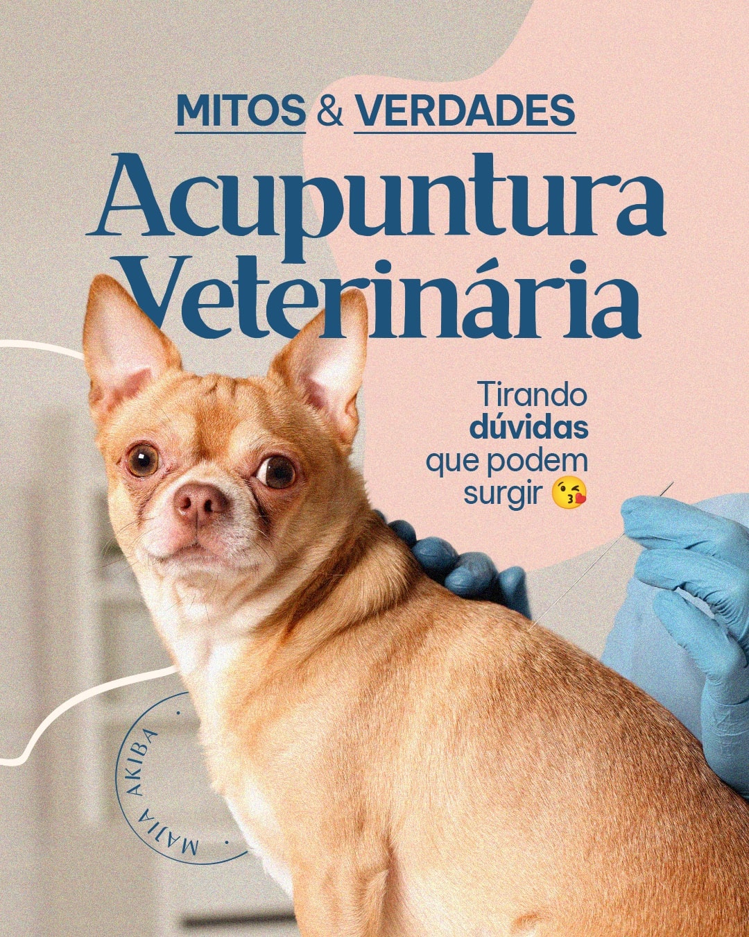Capa de mitos e verdades da acupuntura veterinária do projeto MAJIA AKIBA