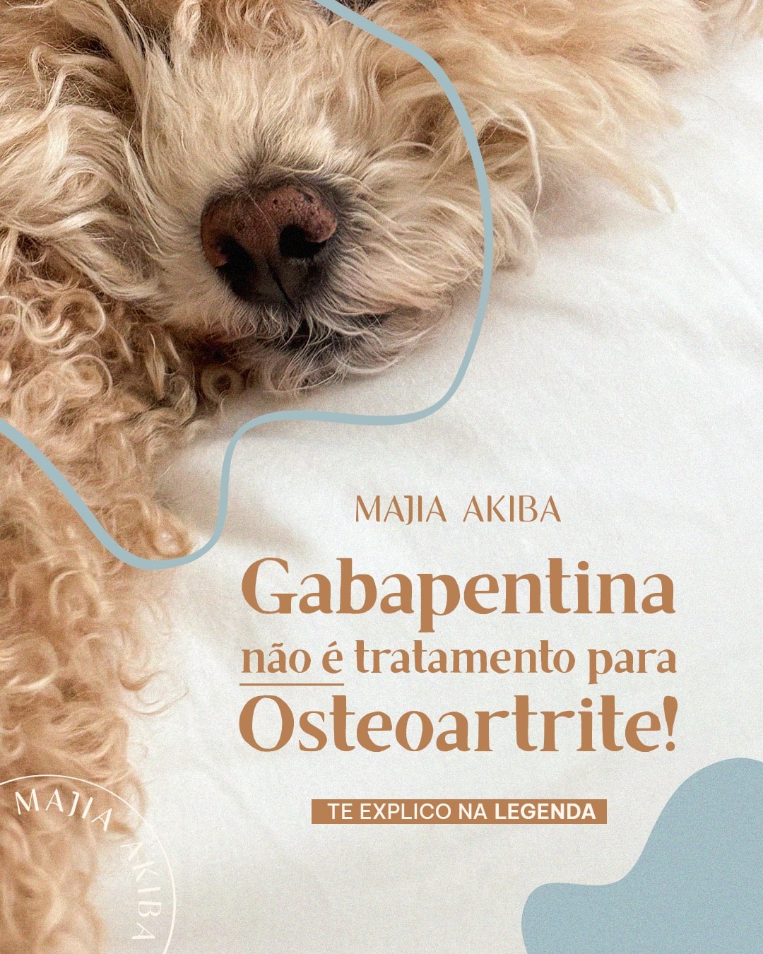 Post sobre gabapentina e tratamento da osteoartrite do projeto MAJIA AKIBA