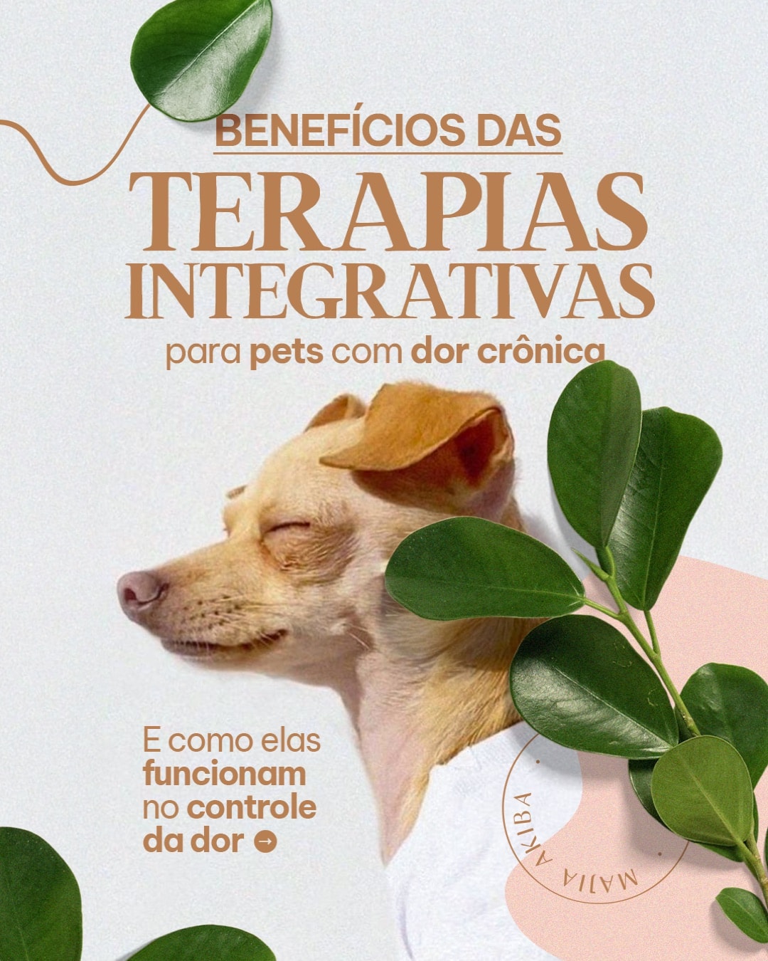 Capa sobre terapias integrativas para pets com dor crônica do projeto MAJIA AKIBA