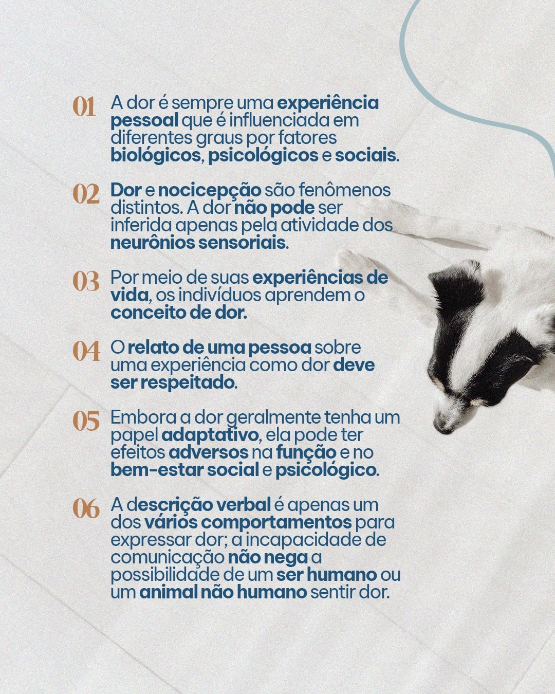 Impactos da dor crônica na qualidade de vida do pet do projeto MAJIA AKIBA