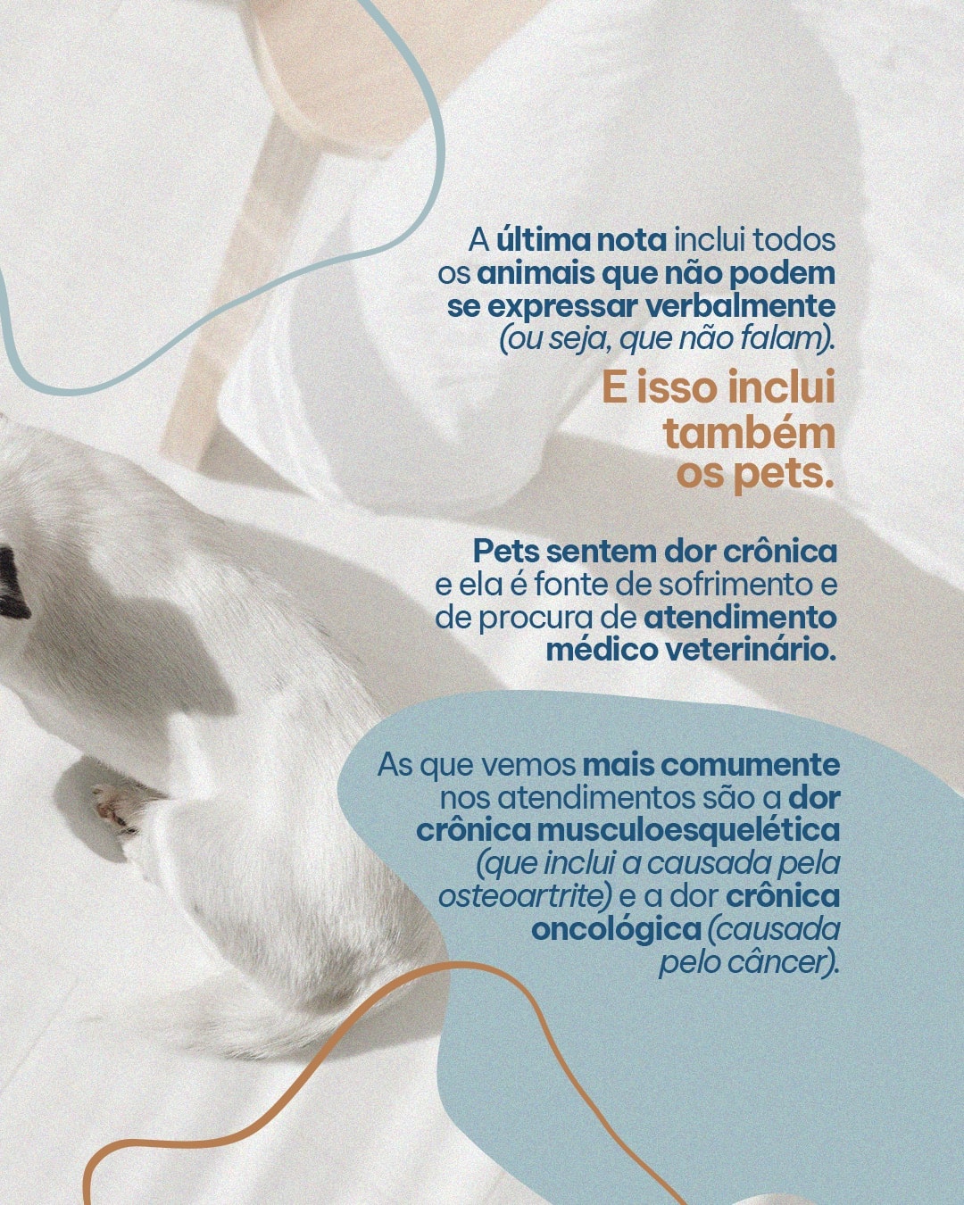Importância do diagnóstico e do controle contínuo da dor do projeto MAJIA AKIBA