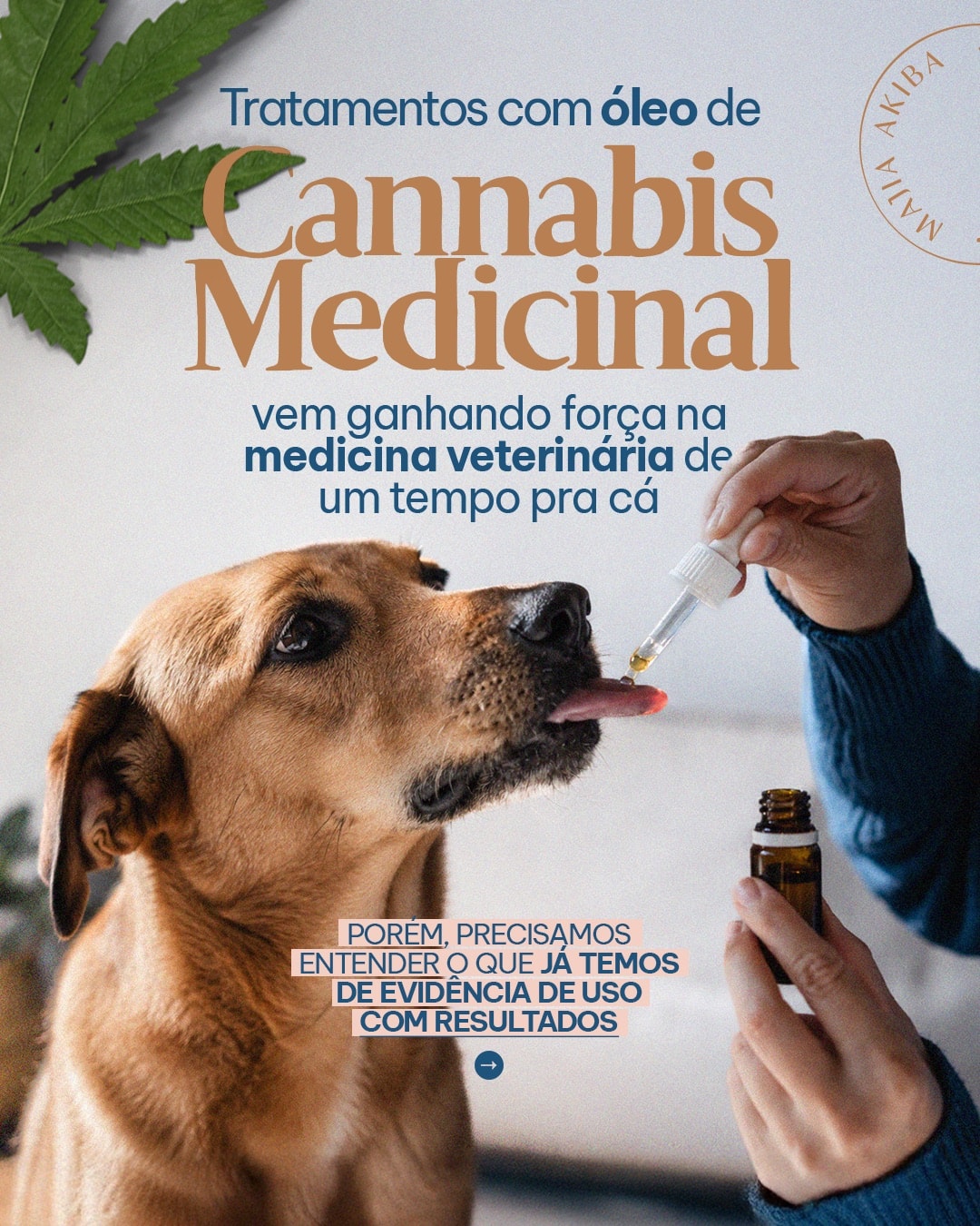 Capa sobre cannabis medicinal na medicina veterinária do projeto MAJIA AKIBA