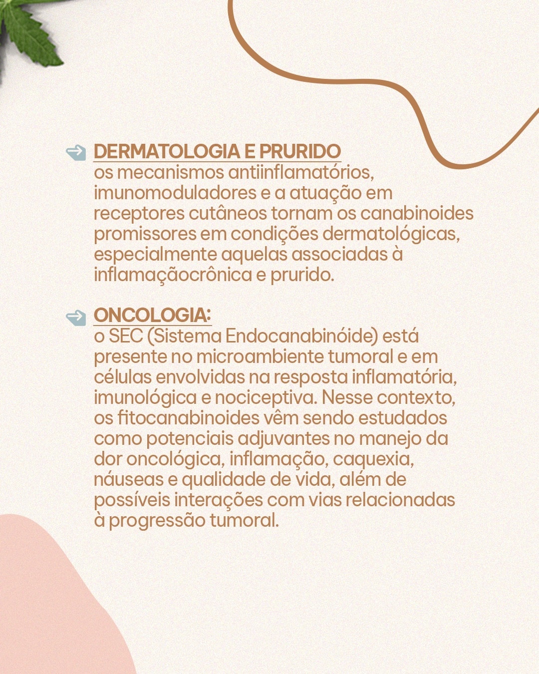 Aplicações estudadas da cannabis medicinal em dermatologia e oncologia do projeto MAJIA AKIBA