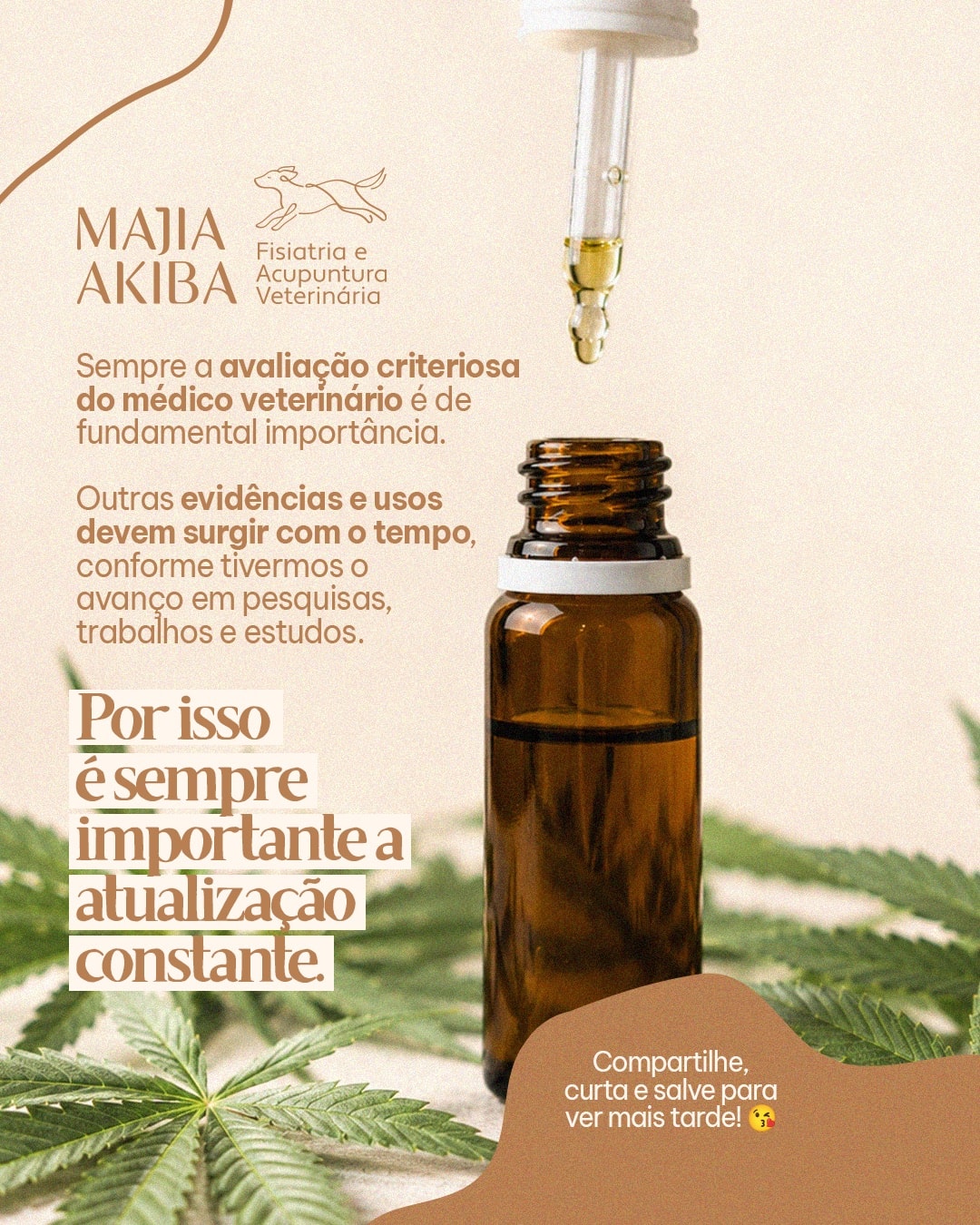Encerramento sobre avaliação veterinária e cannabis medicinal do projeto MAJIA AKIBA