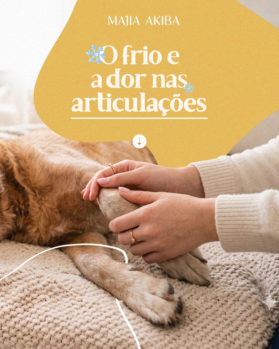 Post sobre o frio e a dor nas articulações dos pets do projeto MAJIA AKIBA