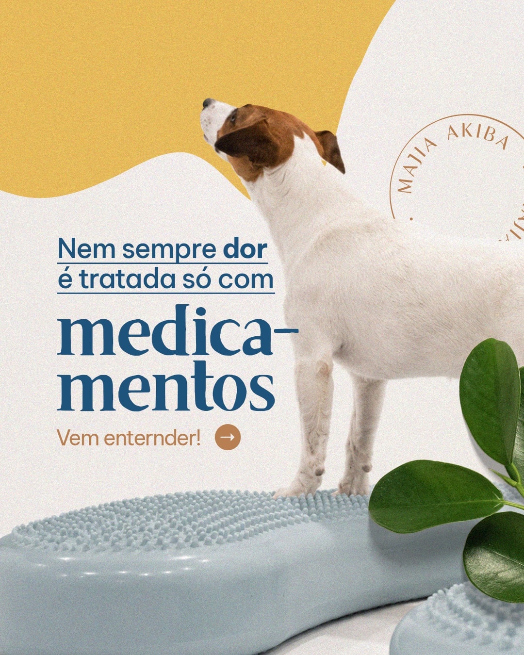Capa sobre tratamentos complementares para dor do projeto MAJIA AKIBA