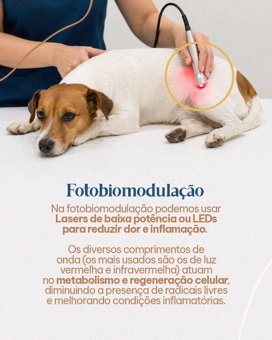 Post sobre fotobiomodulação para dor e inflamação do projeto MAJIA AKIBA