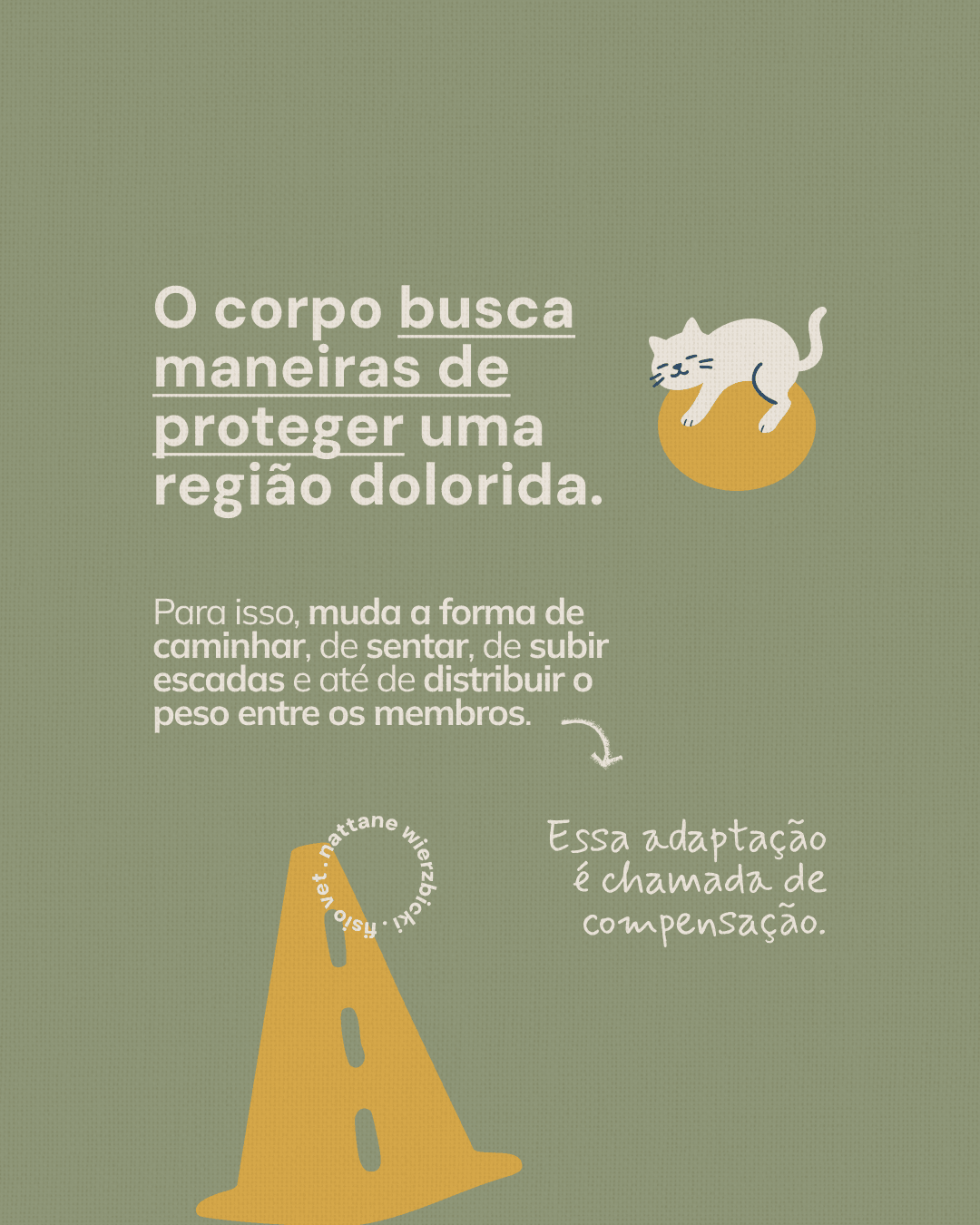 Explicação sobre as adaptações de movimento chamadas de compensação do projeto NATTANE WIERZBICKI