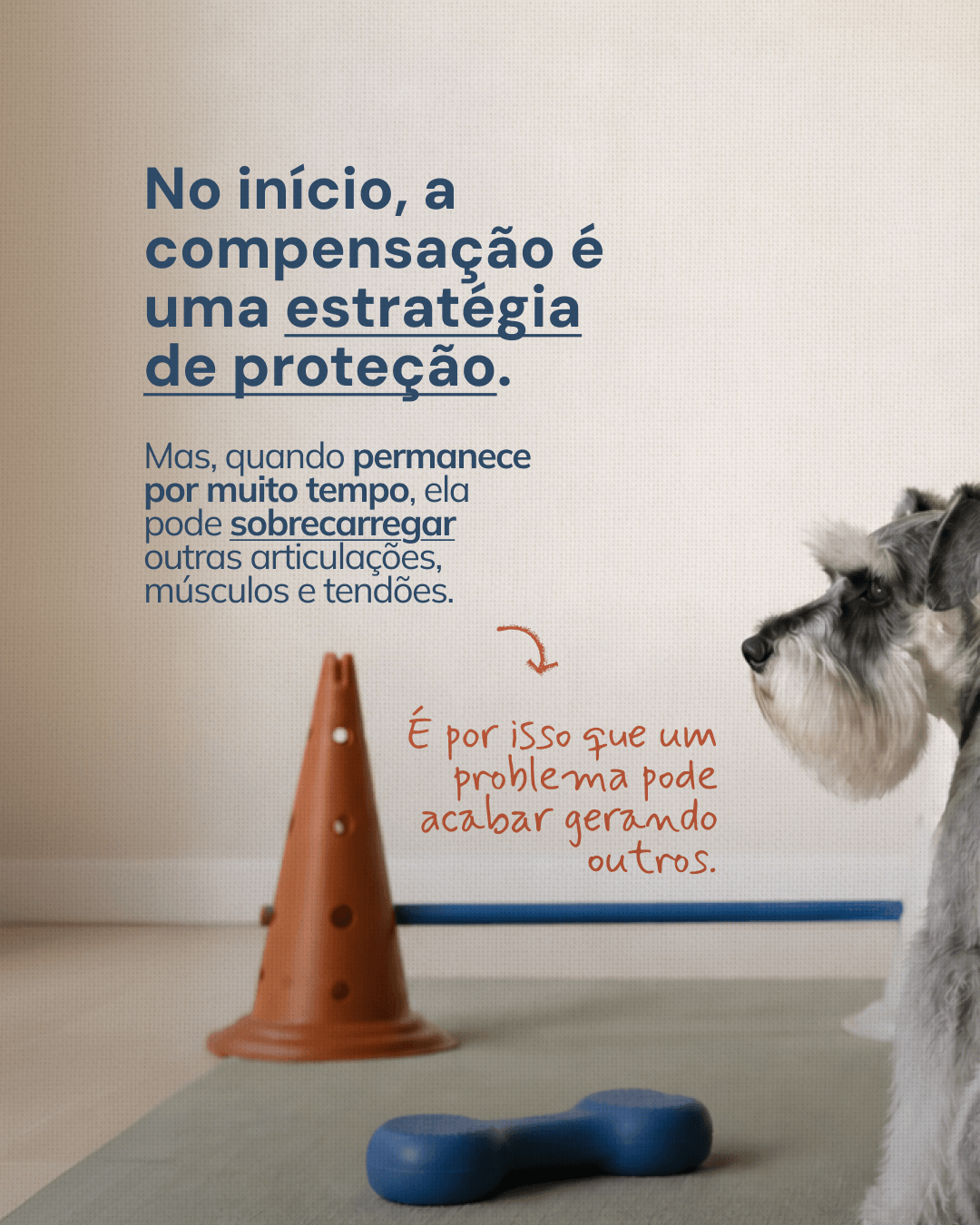 Consequências de uma compensação que permanece por muito tempo do projeto NATTANE WIERZBICKI