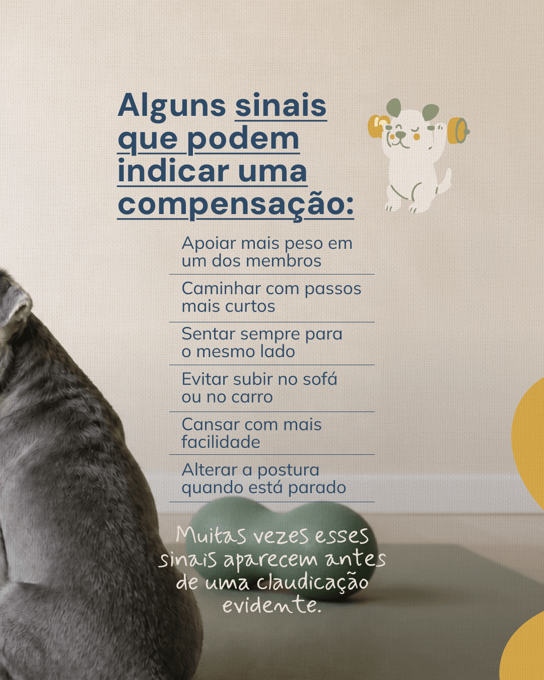 Sinais que podem indicar uma compensação no pet do projeto NATTANE WIERZBICKI