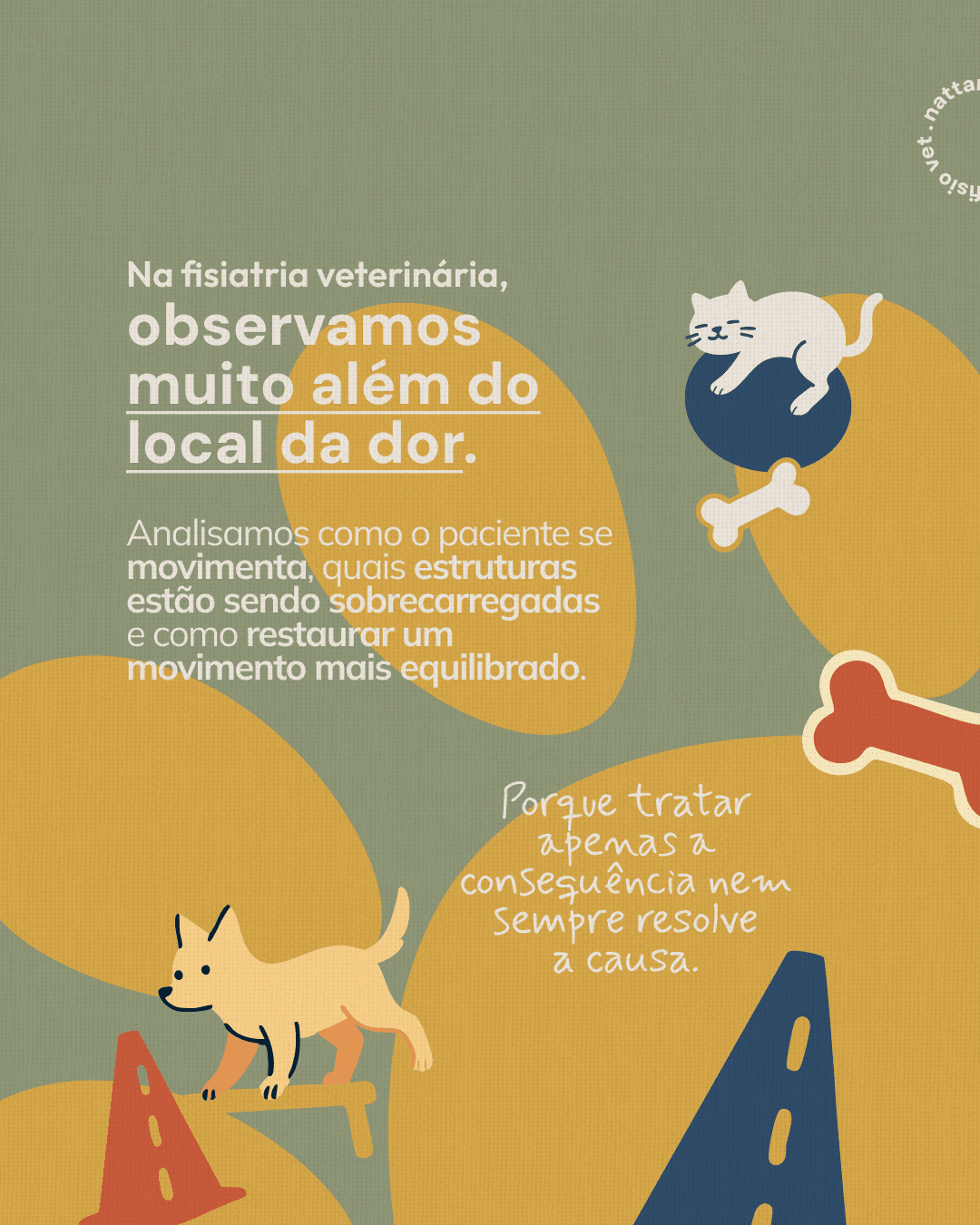 Análise do movimento na fisiatria veterinária do projeto NATTANE WIERZBICKI