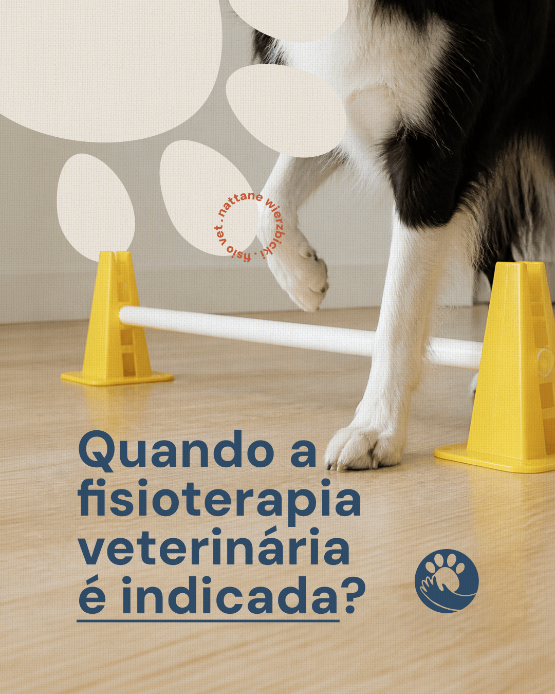 Capa sobre quando a fisioterapia veterinária é indicada do projeto NATTANE WIERZBICKI