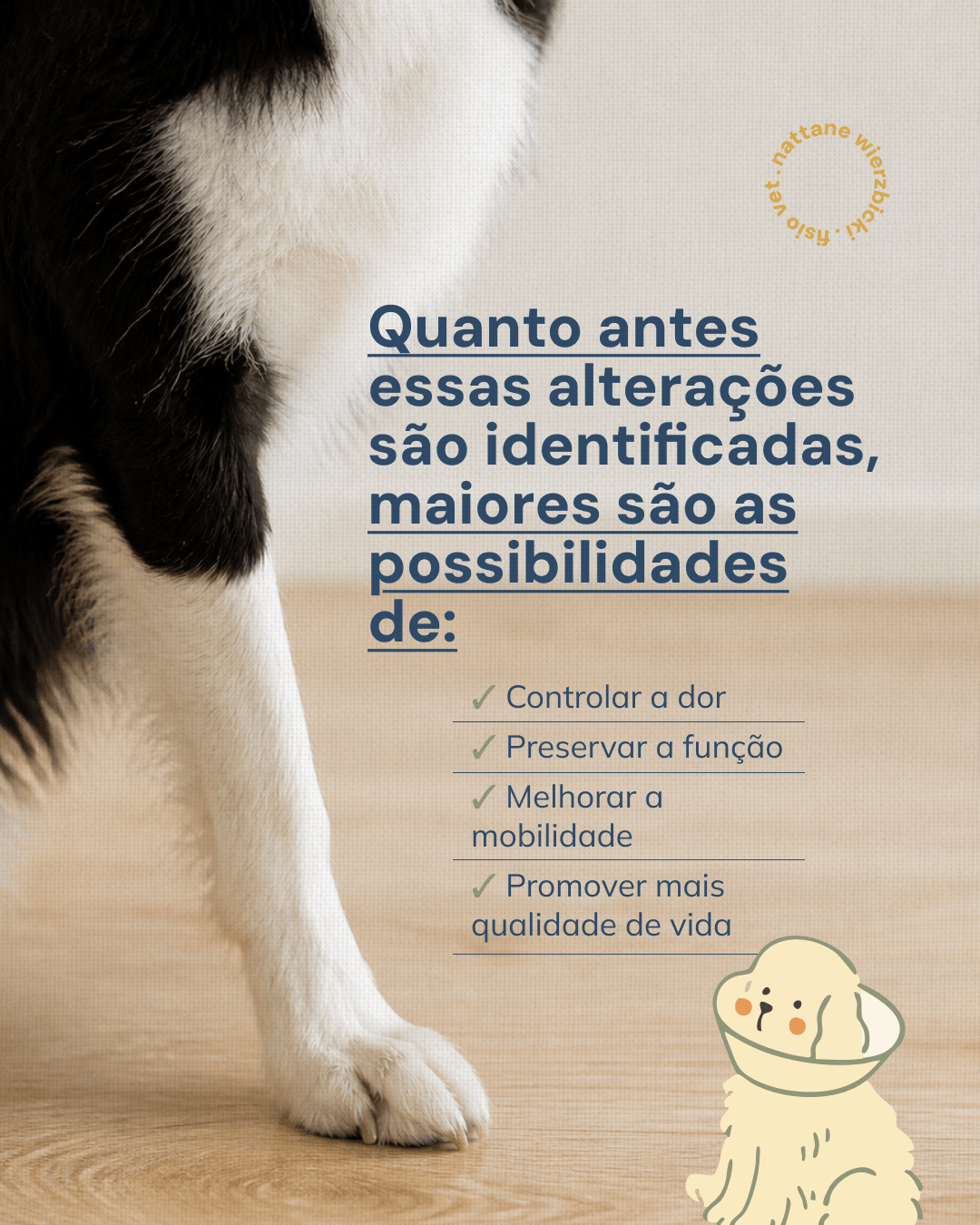 Benefícios de identificar alterações de movimento precocemente do projeto NATTANE WIERZBICKI