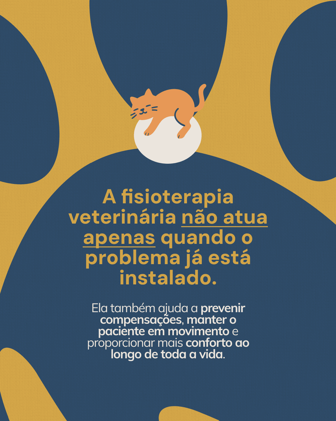 Encerramento sobre prevenção e conforto ao longo da vida do pet do projeto NATTANE WIERZBICKI
