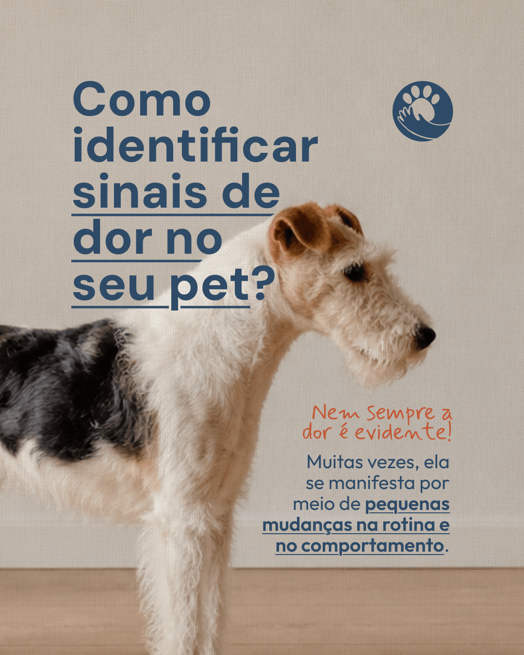 Capa sobre como identificar sinais de dor no pet do projeto NATTANE WIERZBICKI
