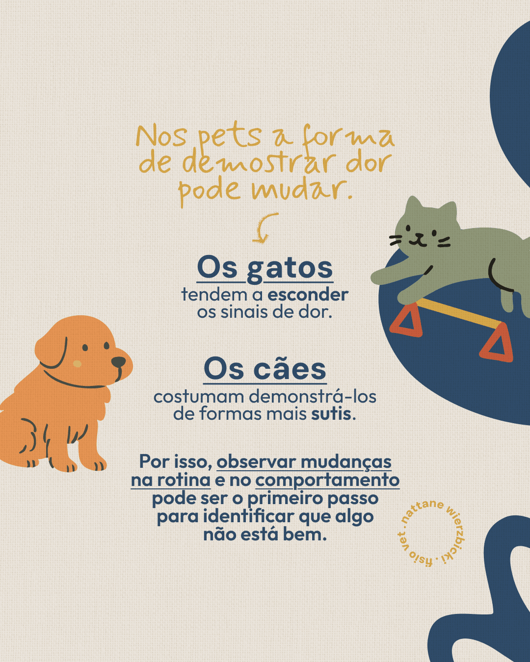 Explicação sobre como cães e gatos demonstram dor do projeto NATTANE WIERZBICKI