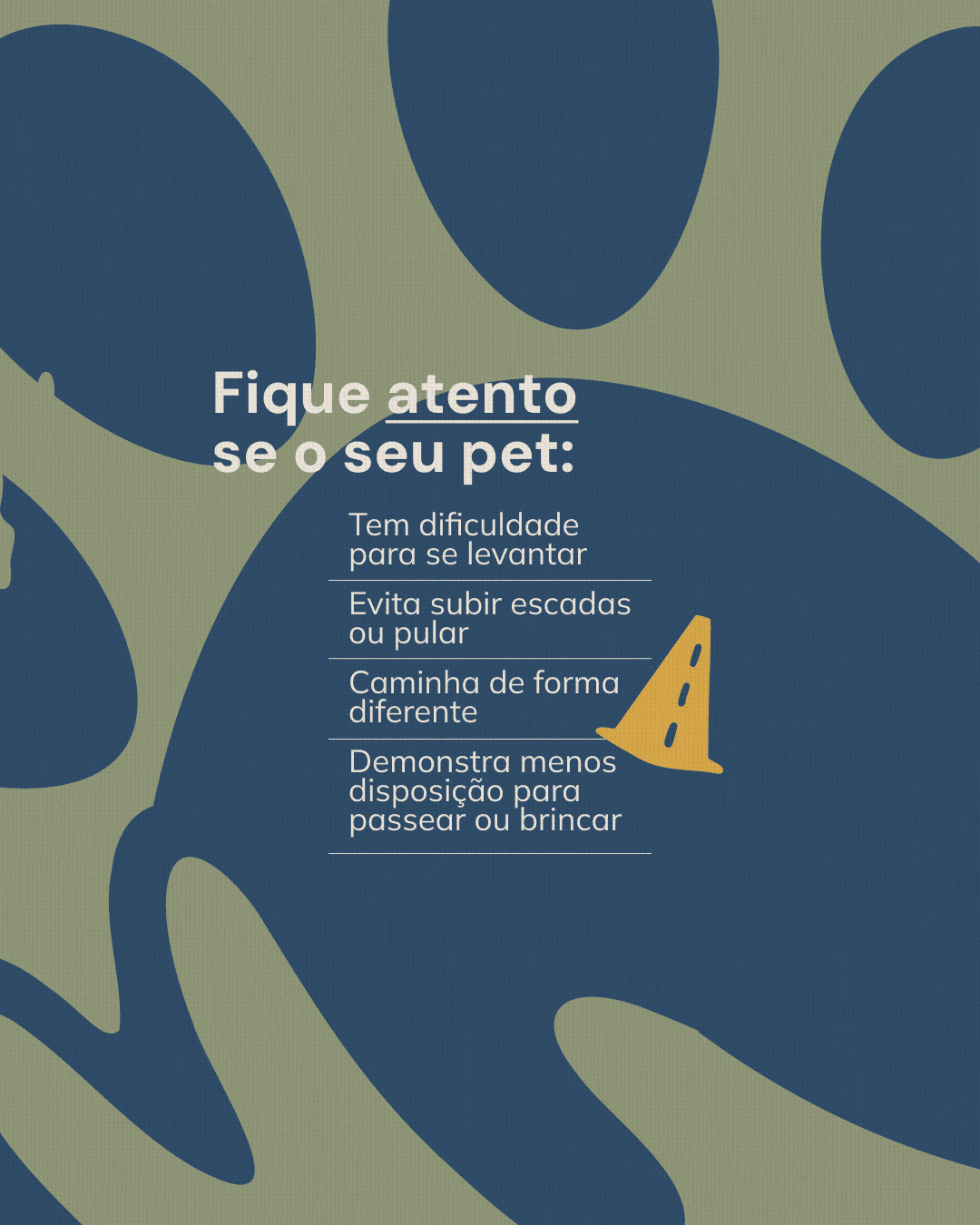Lista de sinais de dor relacionados ao movimento do pet do projeto NATTANE WIERZBICKI