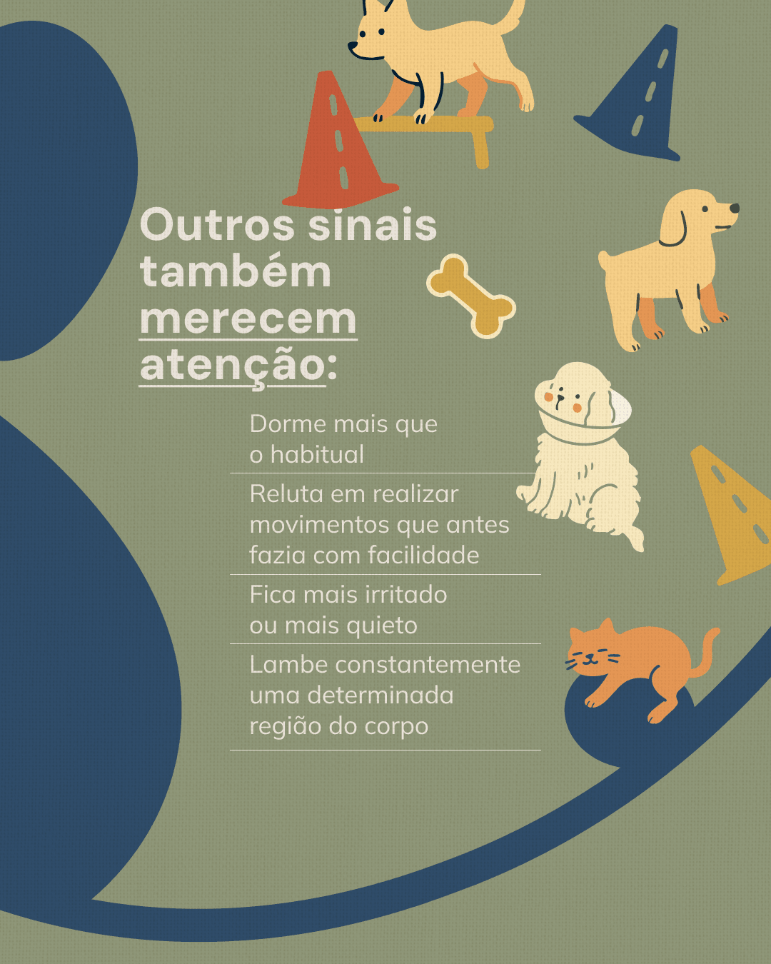 Outros sinais de dor que merecem atenção do projeto NATTANE WIERZBICKI