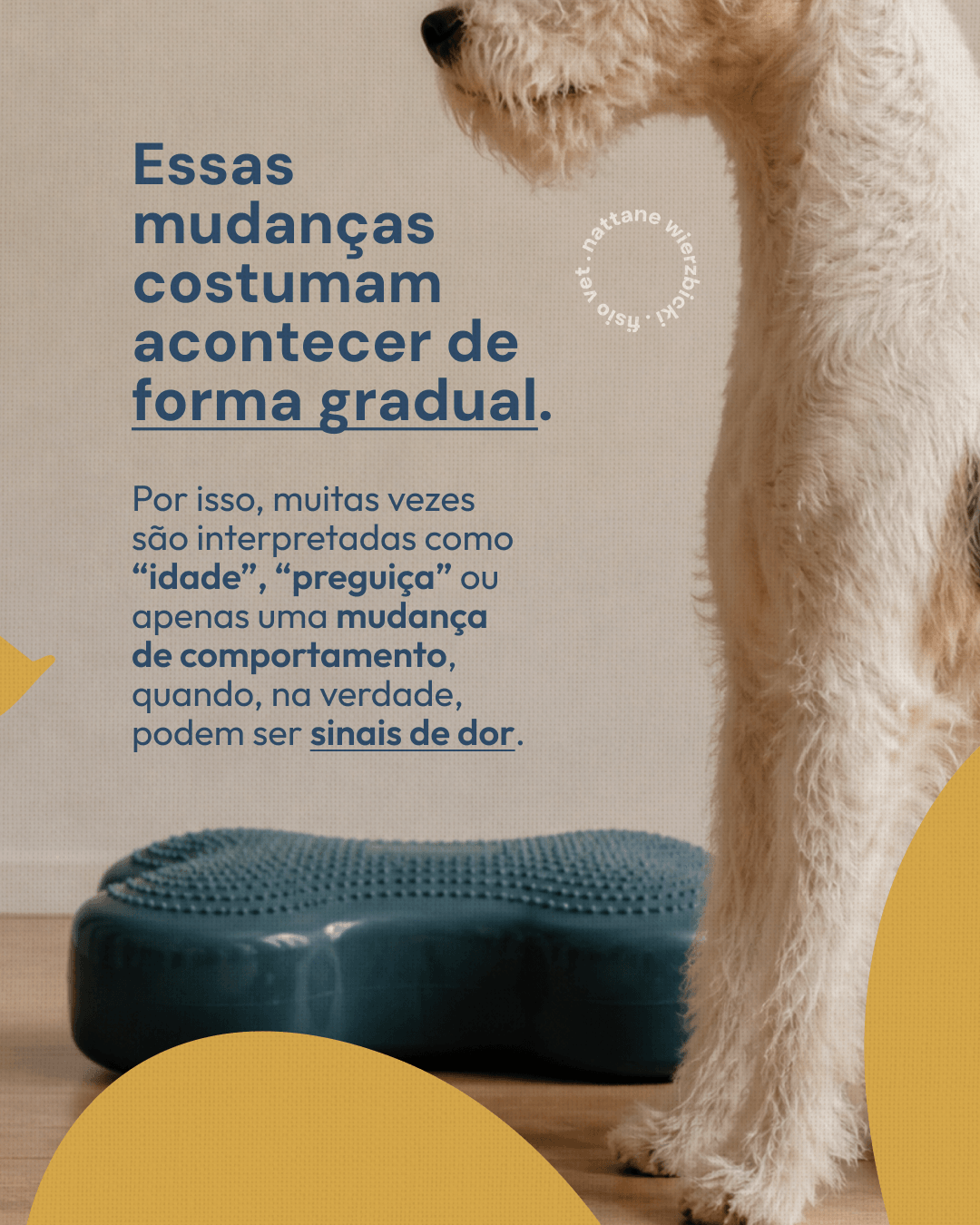 Mudanças graduais que podem indicar dor do projeto NATTANE WIERZBICKI