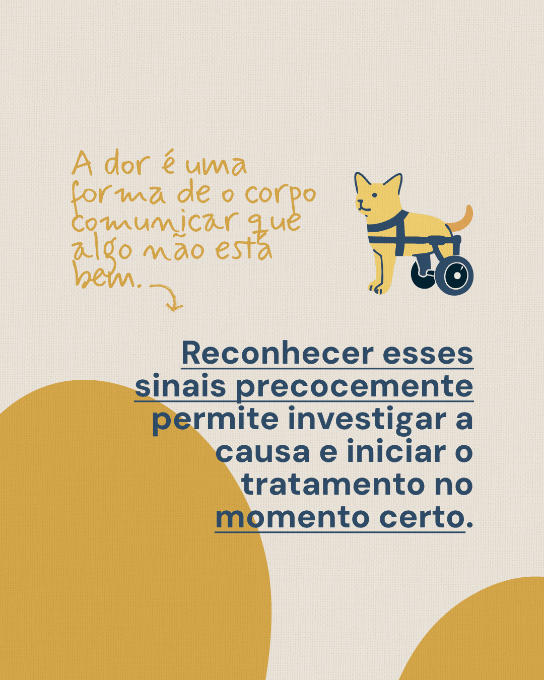 Importância de reconhecer sinais de dor precocemente do projeto NATTANE WIERZBICKI