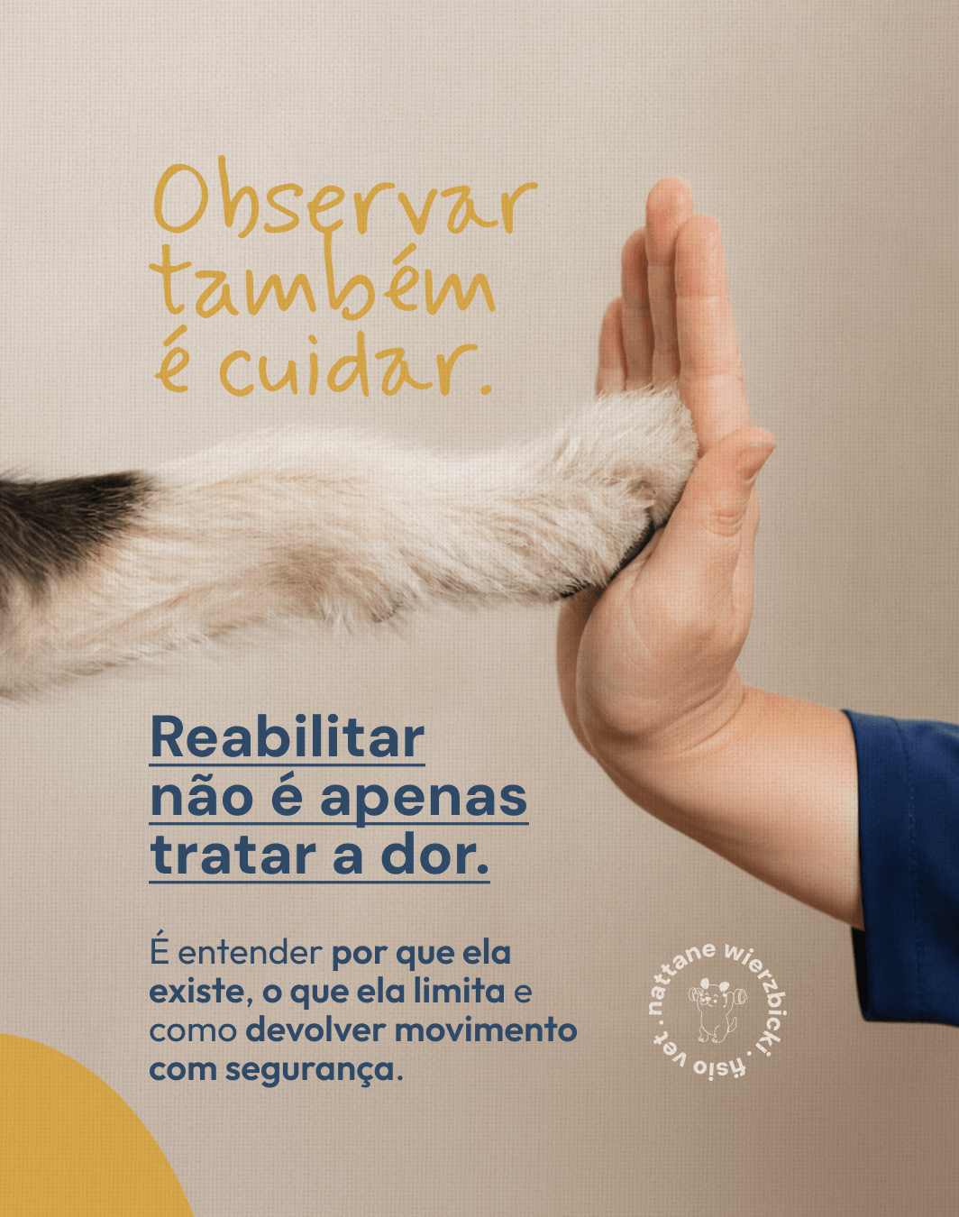 Encerramento sobre observar, cuidar e reabilitar do projeto NATTANE WIERZBICKI
