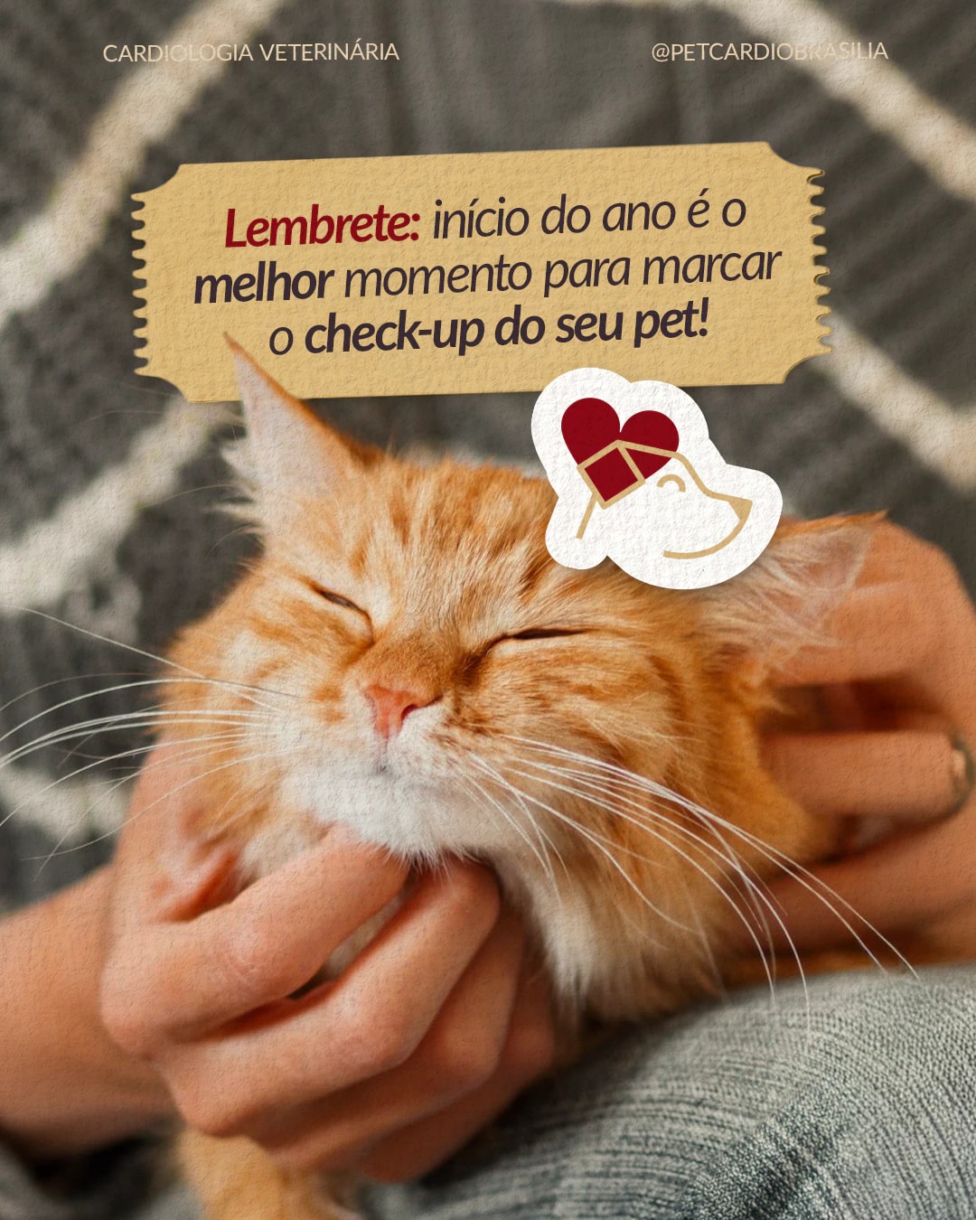 Post de lembrete para o check-up cardiológico do pet do projeto PET CARDIO BRASÍLIA