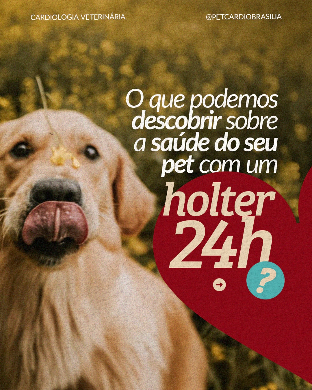Capa sobre o monitoramento da saúde do pet com Holter de 24 horas do projeto PET CARDIO BRASÍLIA
