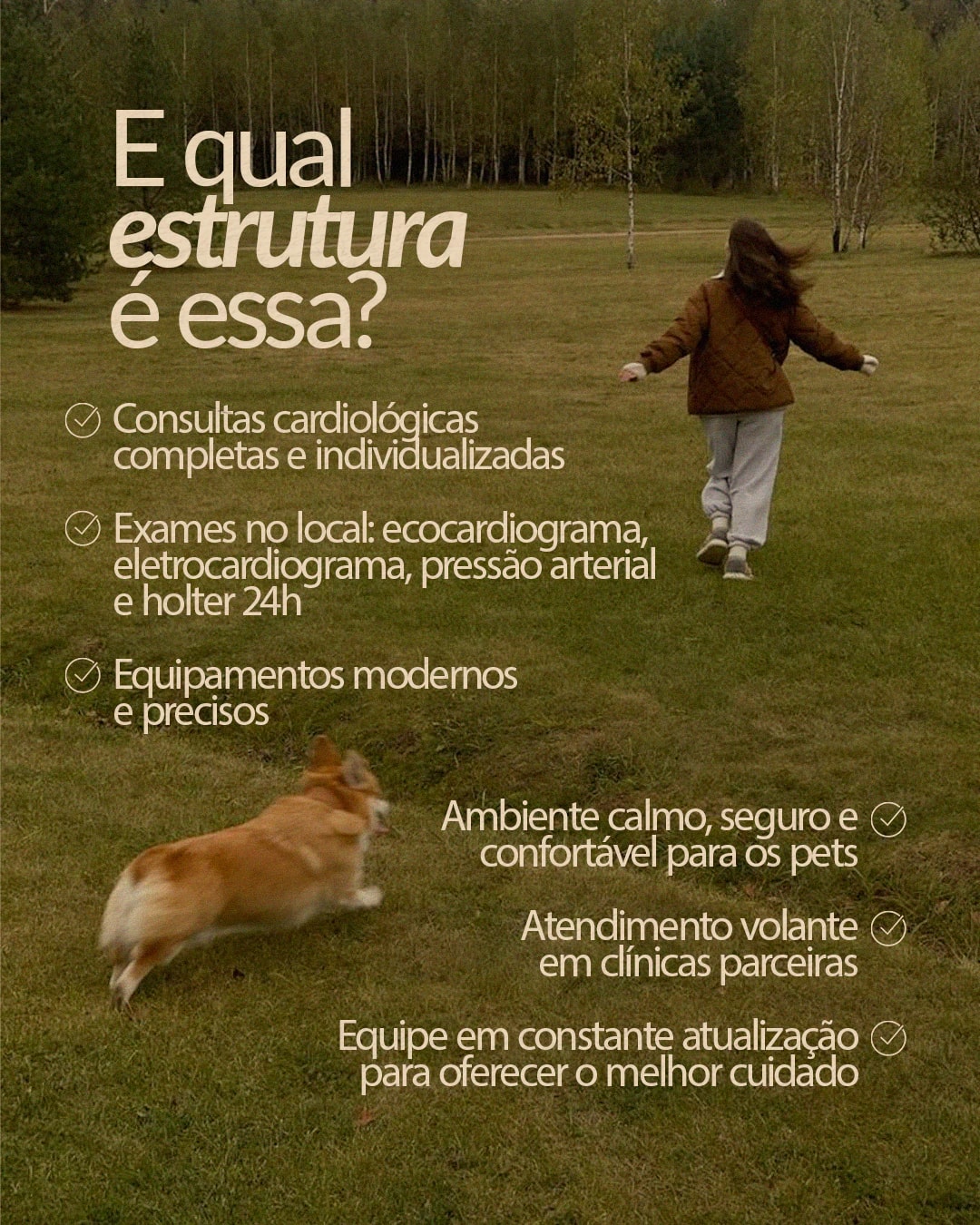 Apresentação da estrutura de atendimento cardiológico veterinário do projeto PET CARDIO BRASÍLIA