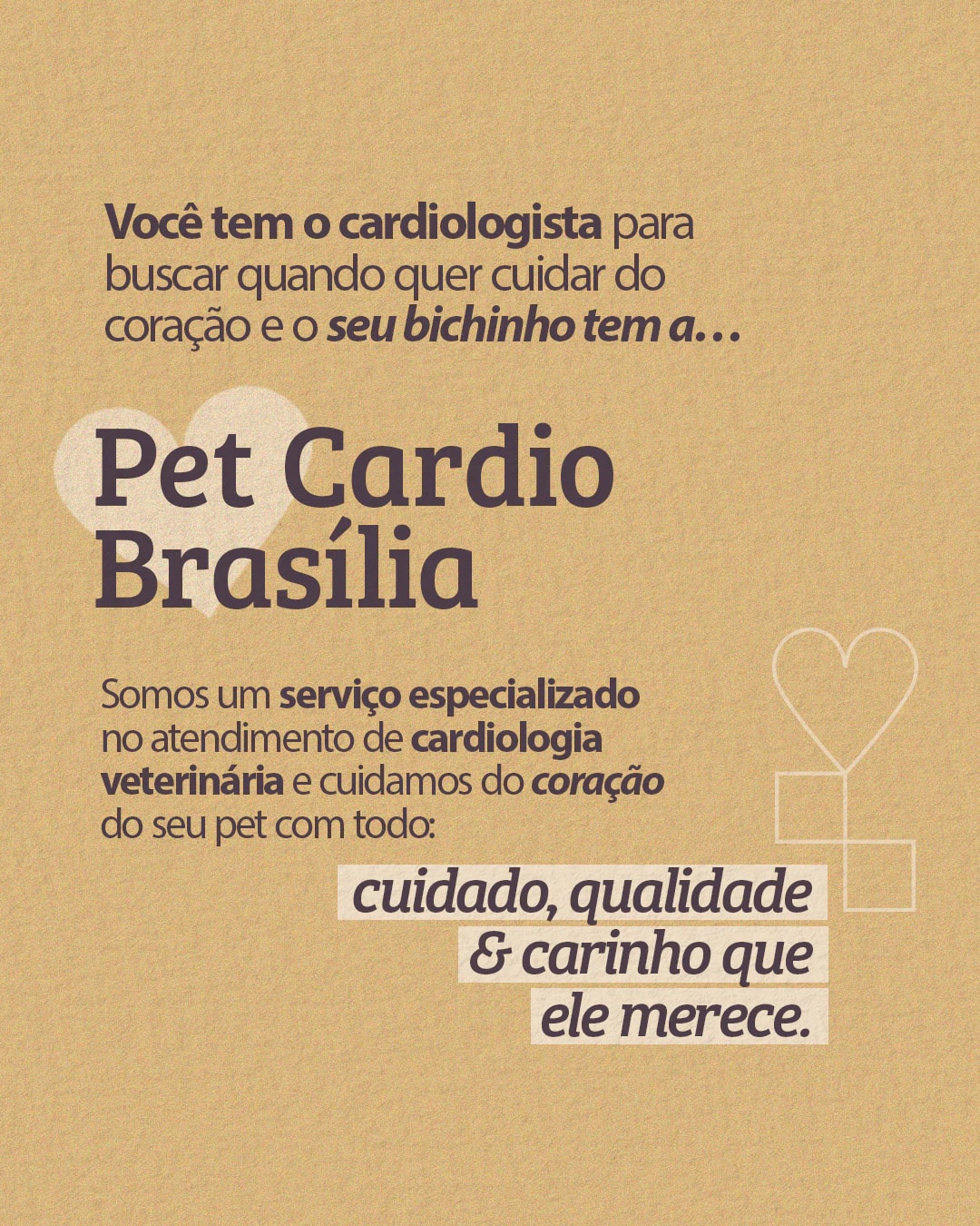 Apresentação do serviço especializado de cardiologia veterinária do projeto PET CARDIO BRASÍLIA