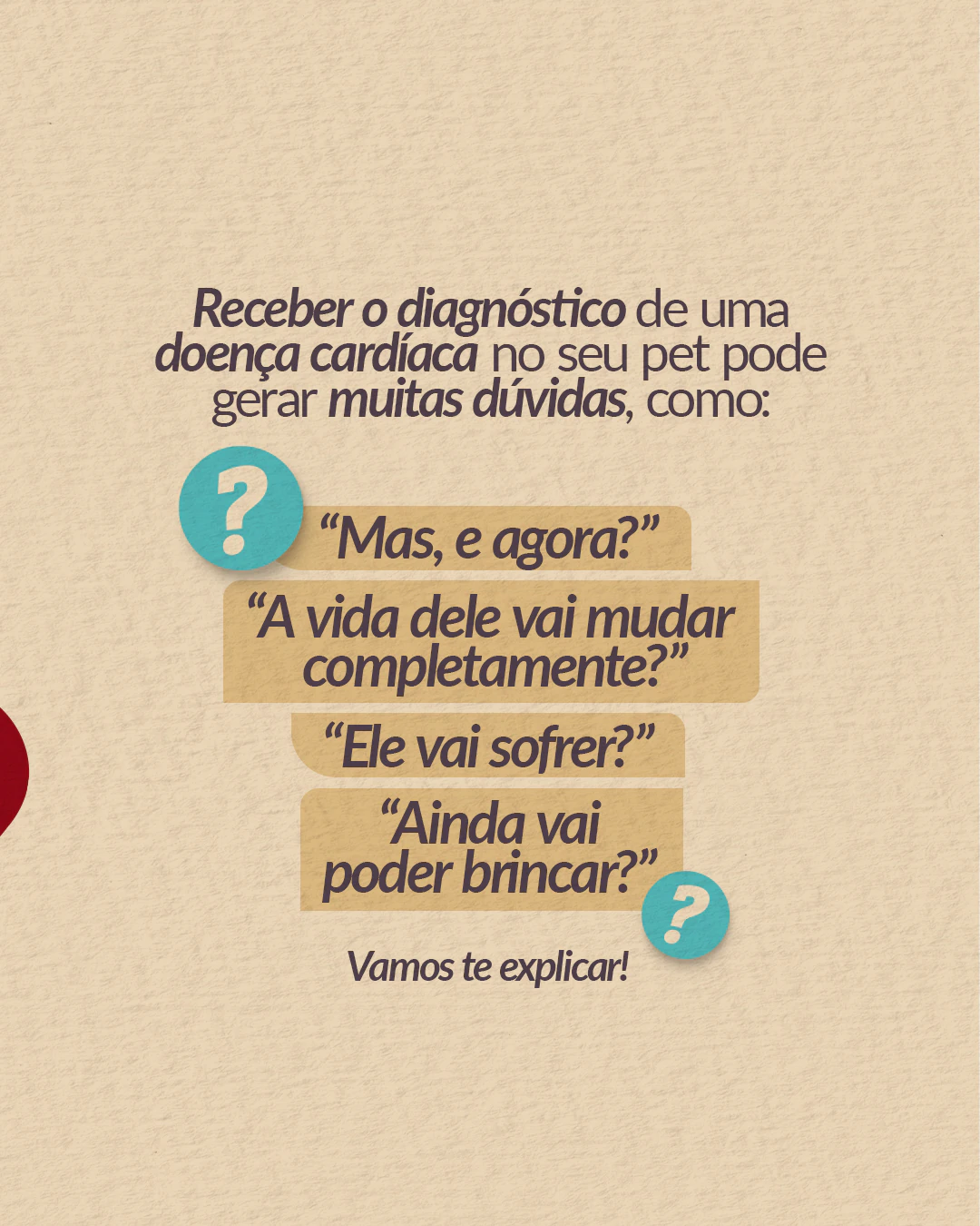 Dúvidas comuns após o diagnóstico de doença cardíaca em um pet do projeto PET CARDIO BRASÍLIA