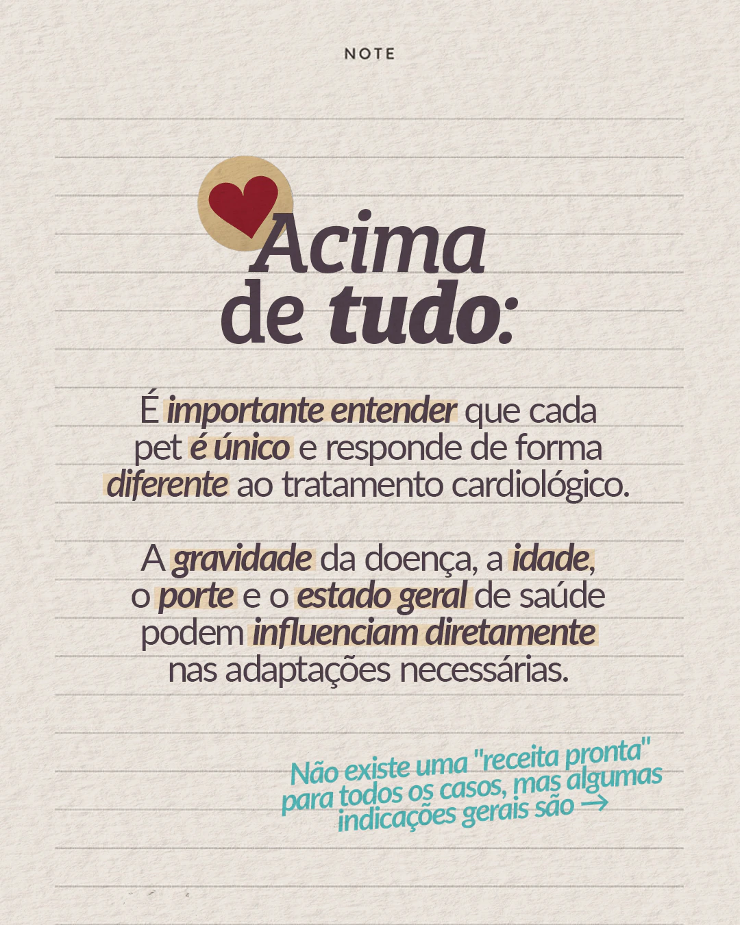 Orientação sobre adaptações individuais no tratamento cardiológico do projeto PET CARDIO BRASÍLIA