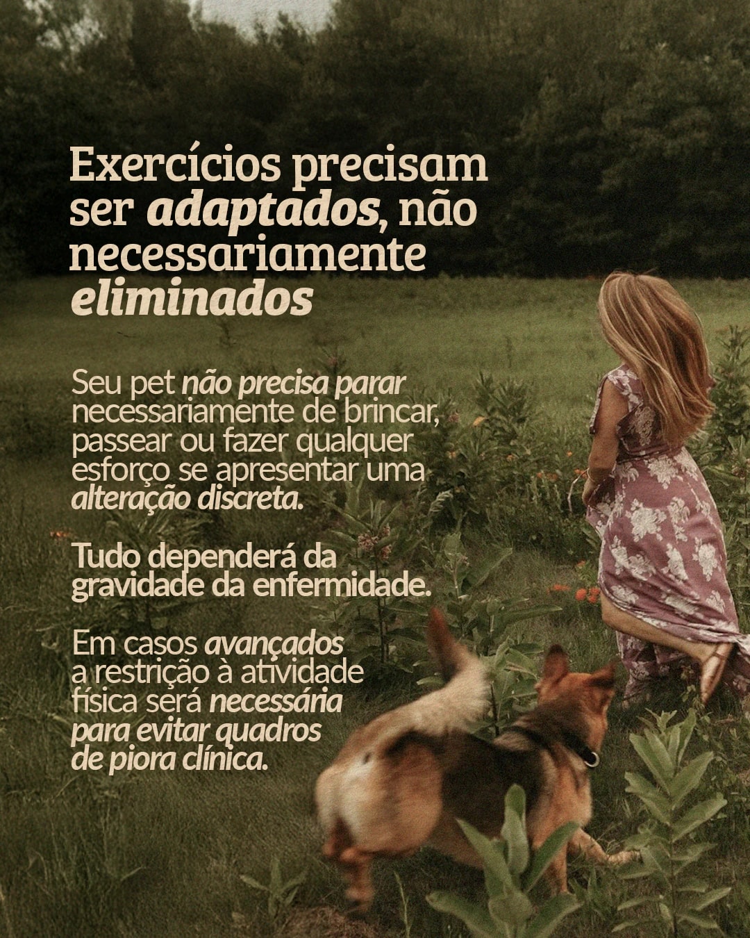 Orientação sobre adaptação de exercícios para pets cardiopatas do projeto PET CARDIO BRASÍLIA