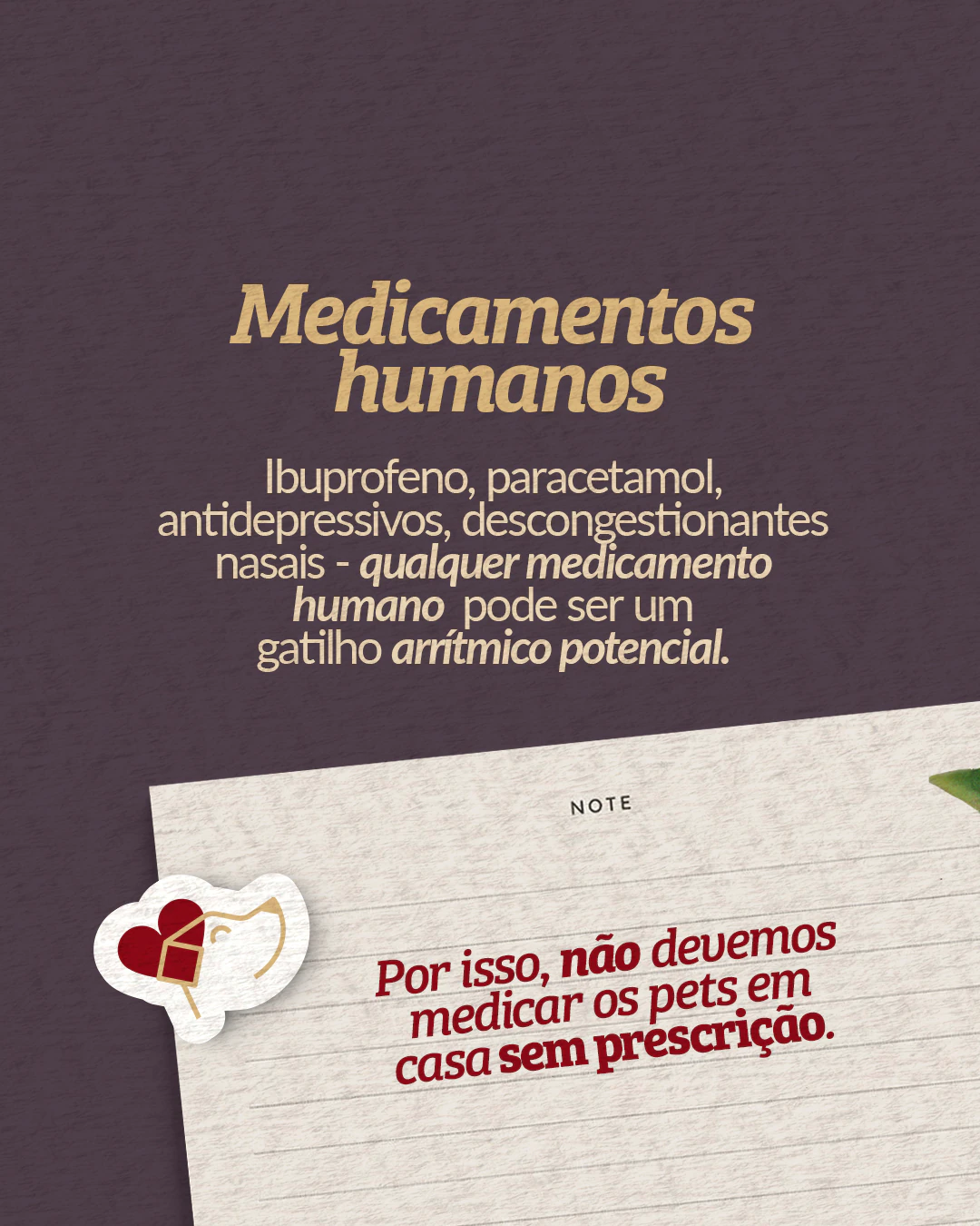 Alerta sobre medicamentos humanos como possíveis gatilhos de arritmia do projeto PET CARDIO BRASÍLIA